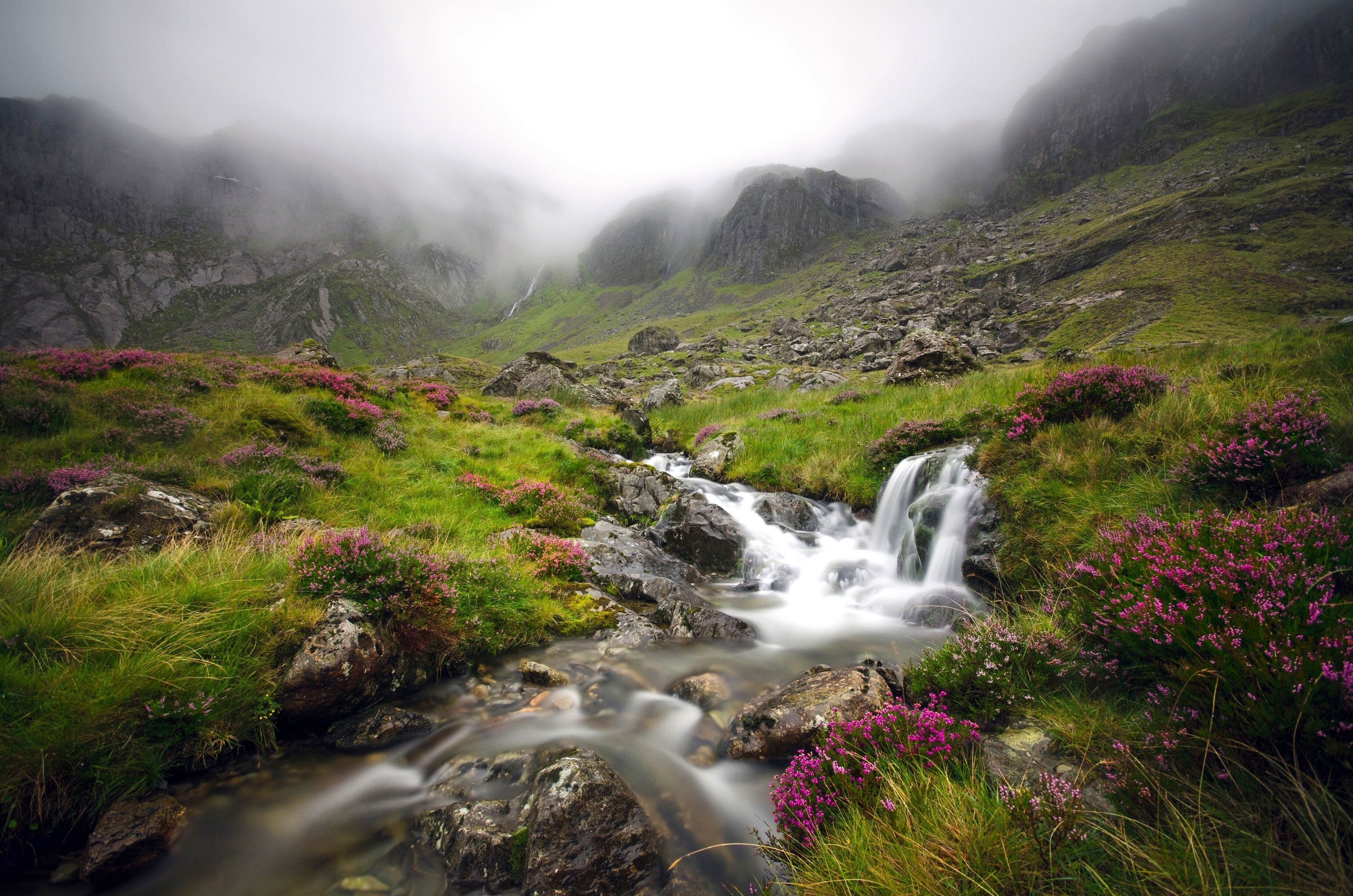 Misty mountains with a stream and heather HD Wallpaper
