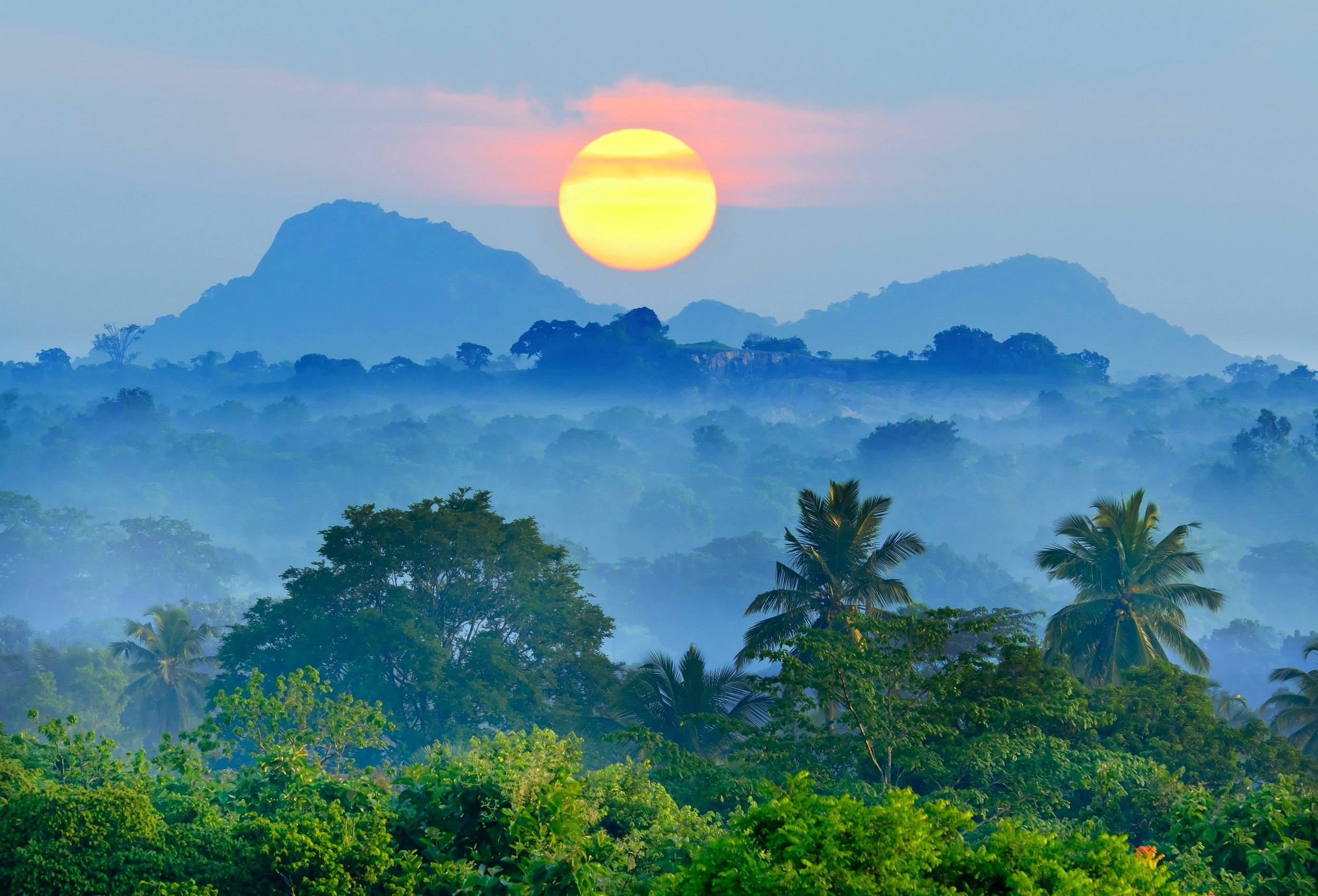Sunrise over misty mountains and tropical forest HD Wallpaper