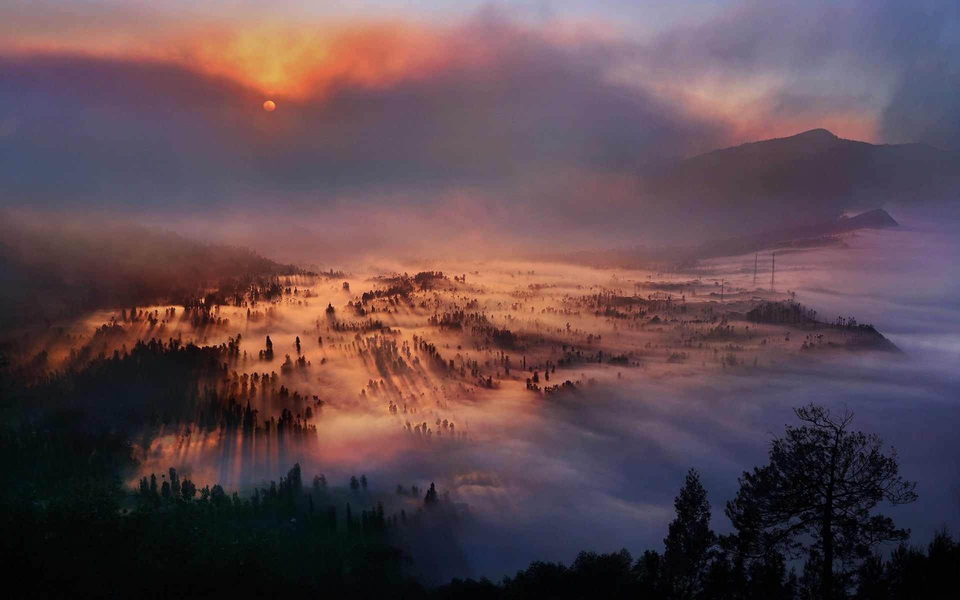 Misty valley at sunrise with sunbeams HD Wallpaper