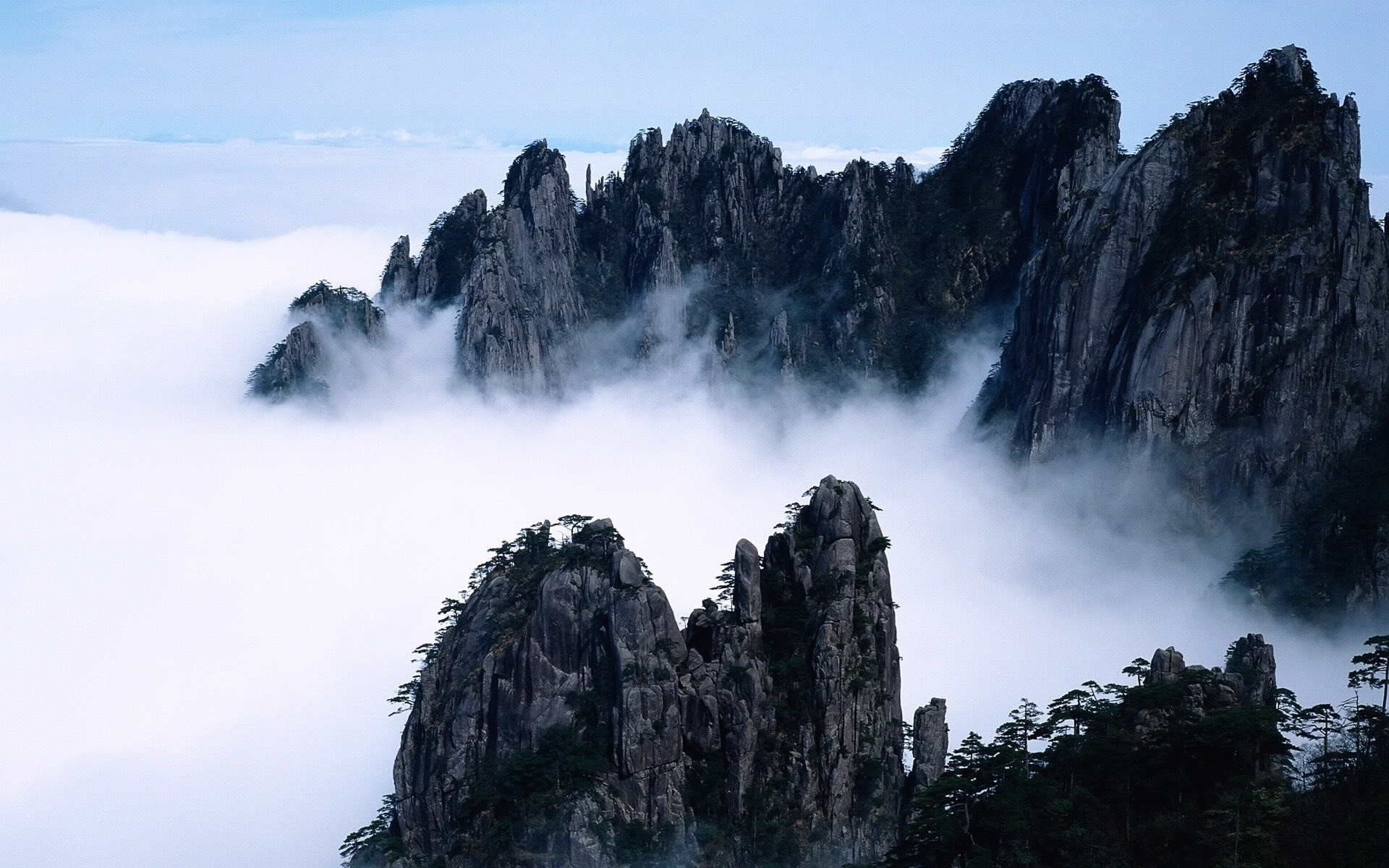Misty mountain peaks with sparse trees HD Wallpaper