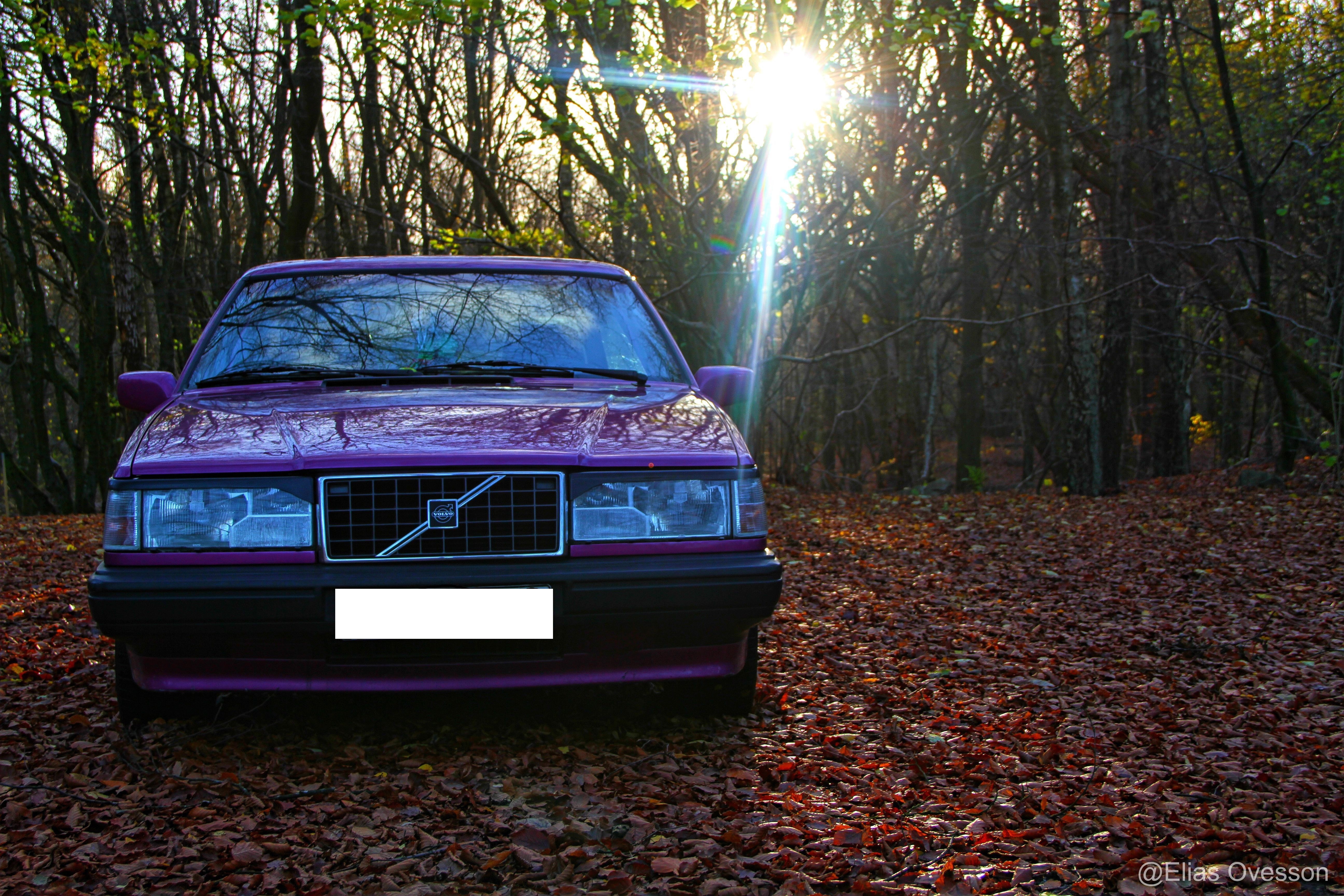 Purple Volvo 240 Series Sedan in Autumn Forest HD Wallpaper