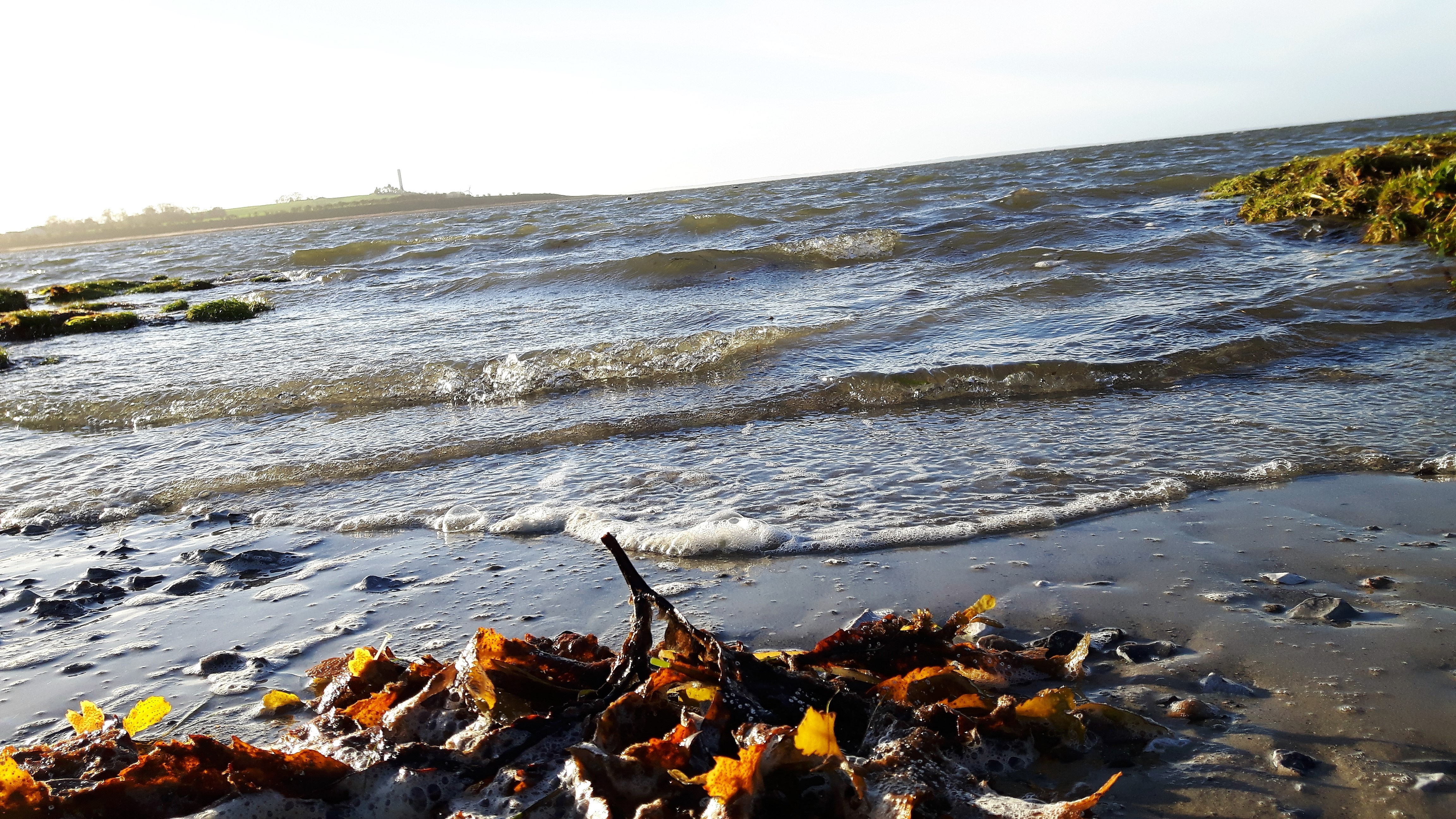 Sea waves washing over a sandy shore with autumn leaves HD Wallpaper