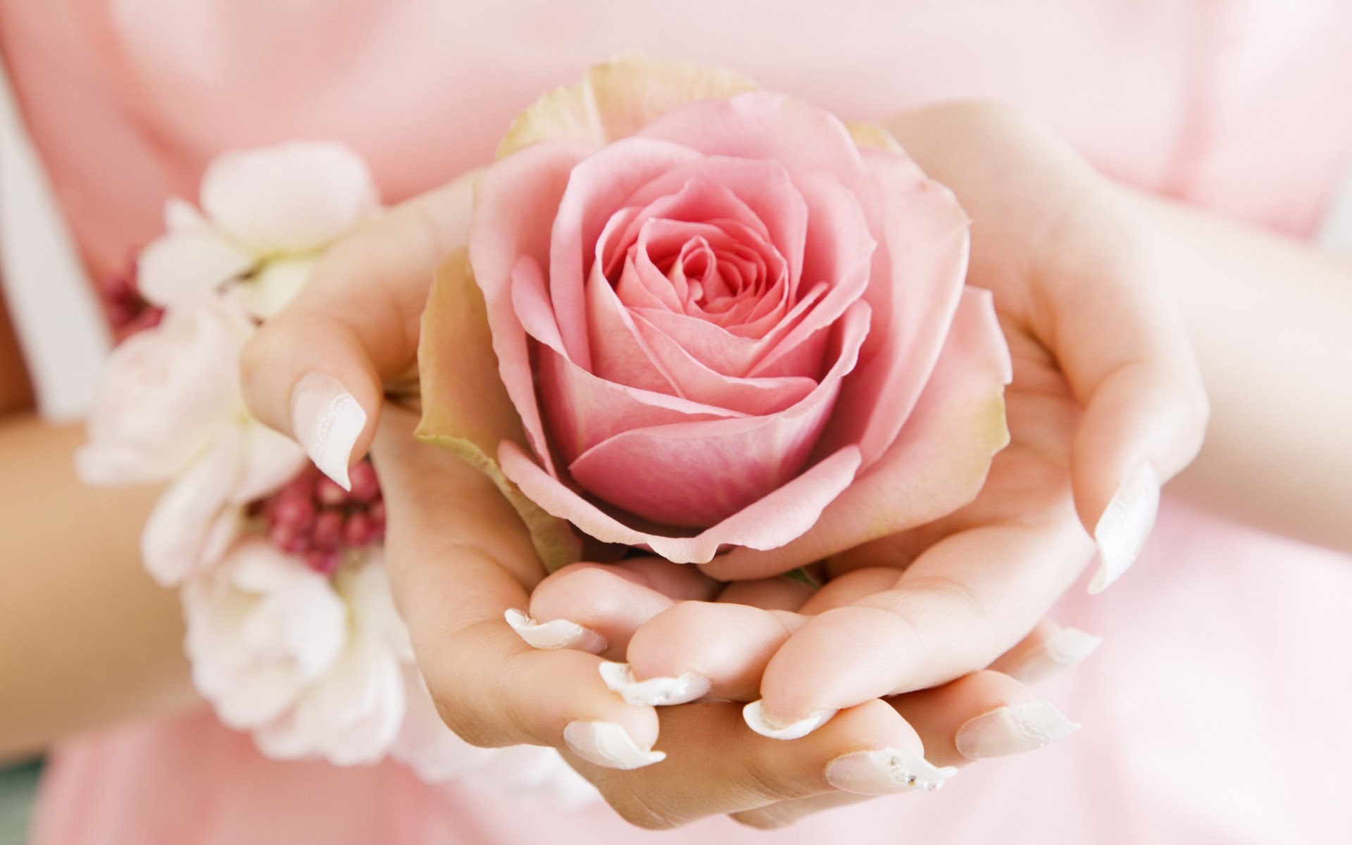 Hands holding a pink rose with flowers HD Wallpaper