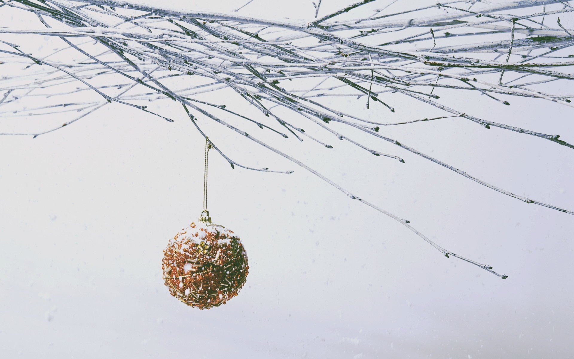 Christmas ornament hanging from a snow-covered branch HD Wallpaper