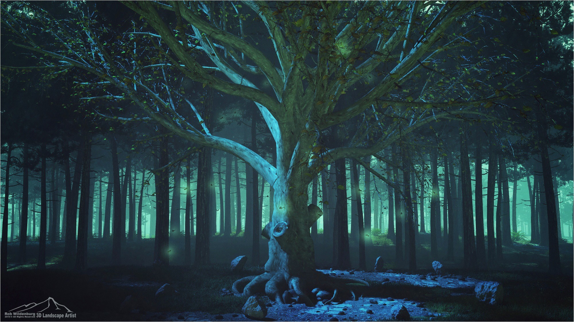 Mystical ancient tree in a dark, foggy forest HD Wallpaper