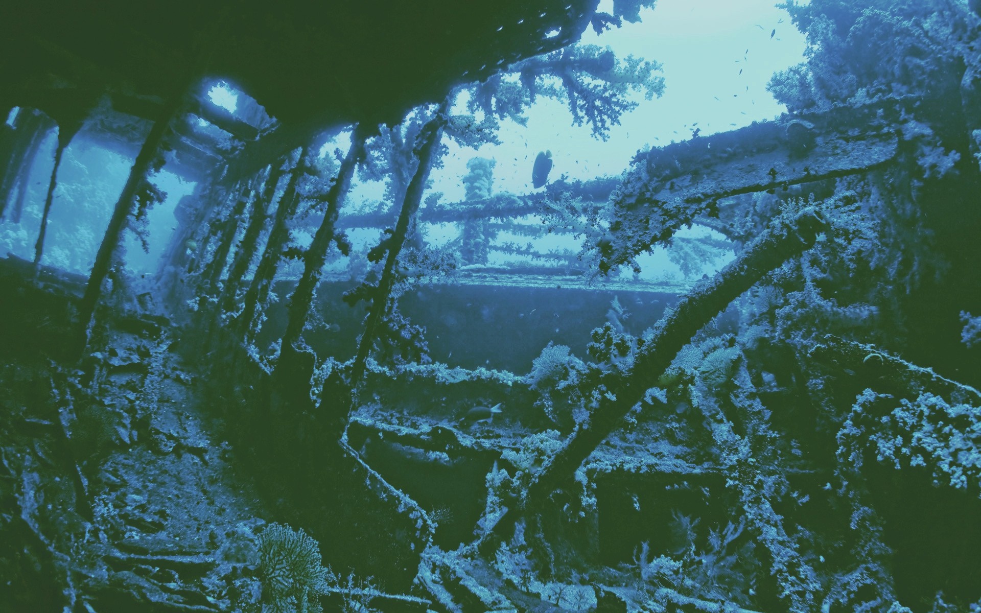 Underwater shipwreck with coral and fish HD Wallpaper