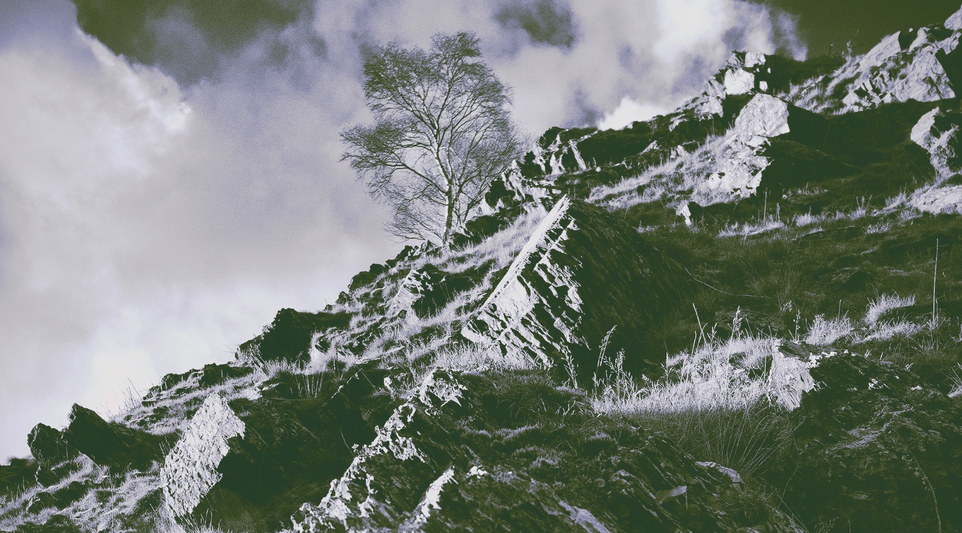 Tree on a rocky mountain slope under clouds HD Wallpaper