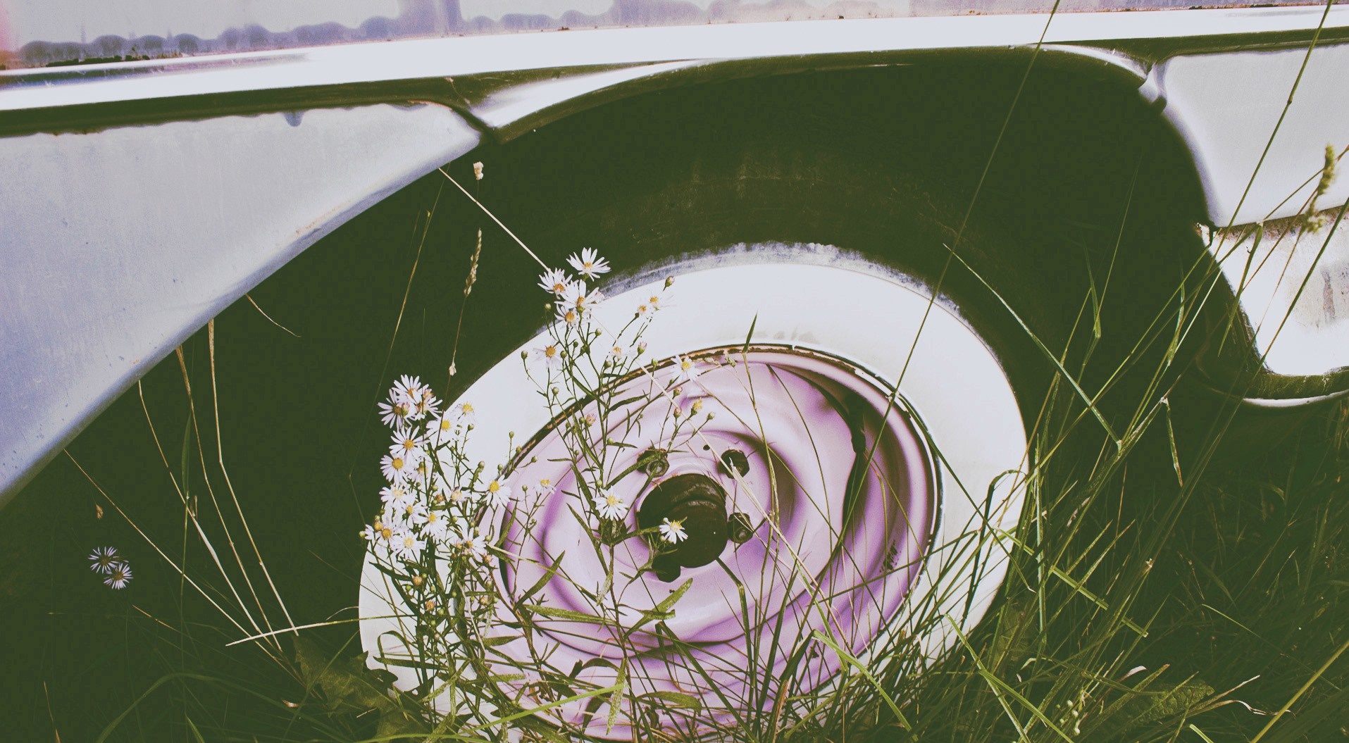 Close-up of an old car wheel with flowers HD Wallpaper