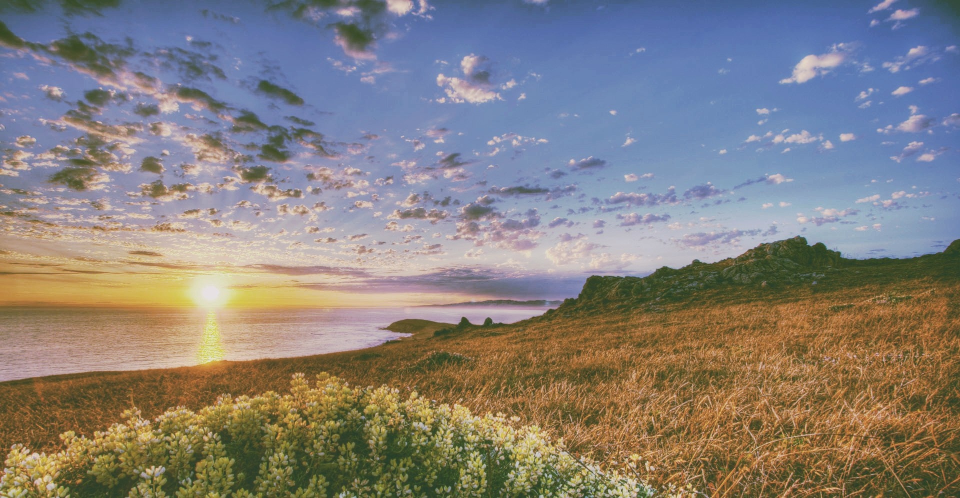 Sunset over a grassy hill and the sea HD Wallpaper
