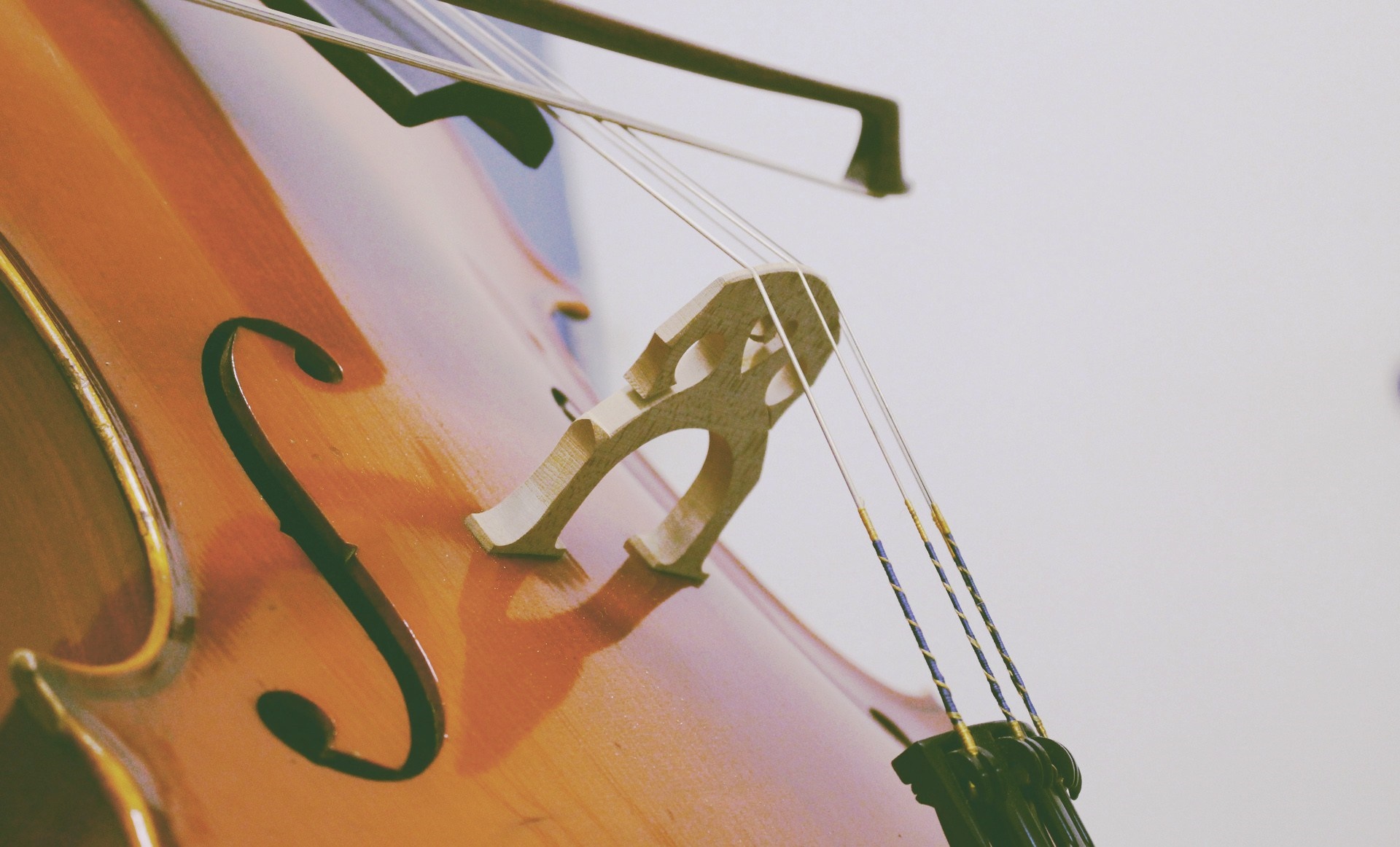 Close-up of a cello with a bow HD Wallpaper