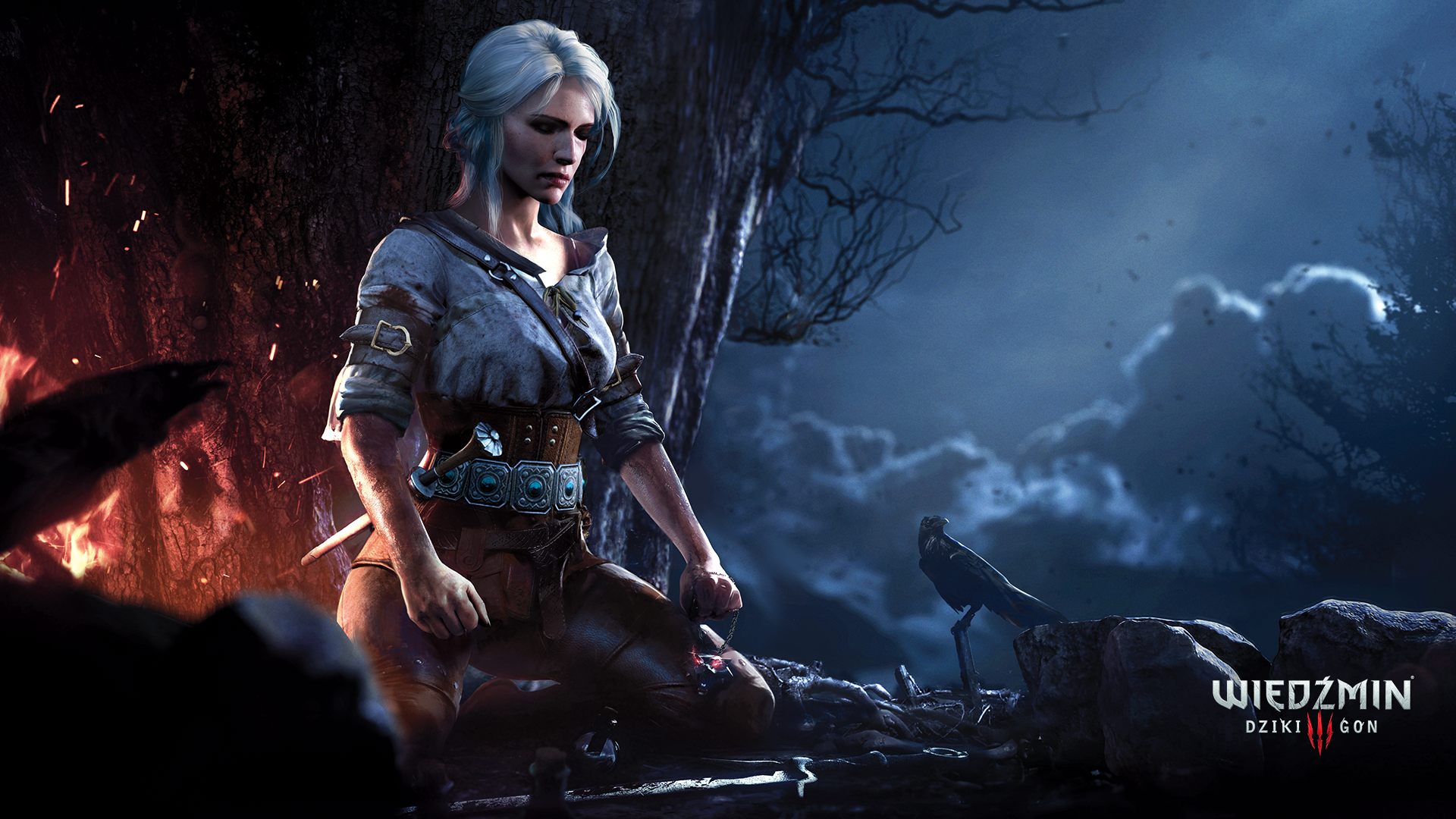Ciri from The Witcher 3: Wild Hunt by a campfire HD Wallpaper