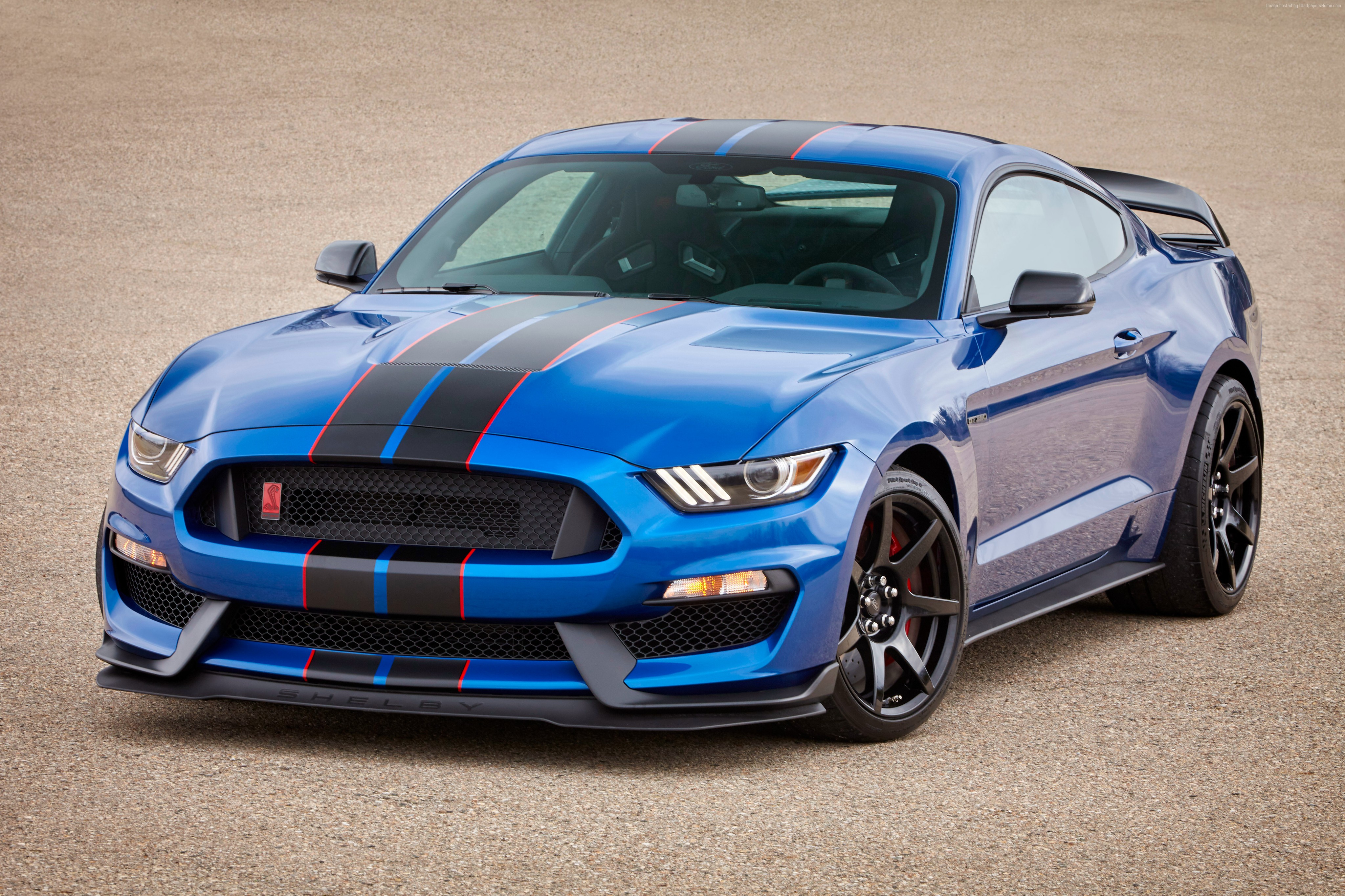 Blue Ford Mustang Shelby GT350 with racing stripes HD Wallpaper