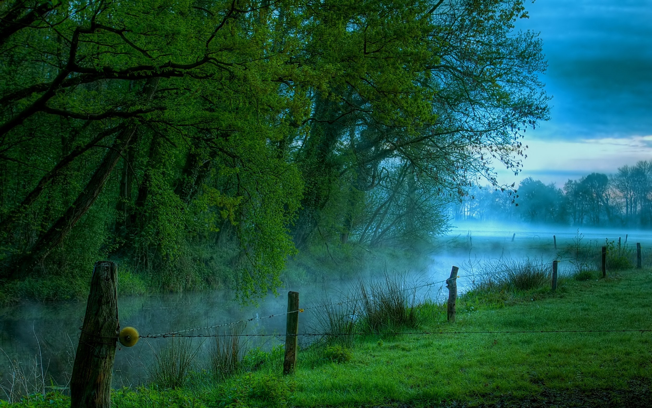Misty morning by a river with trees and barbed wire HD Wallpaper