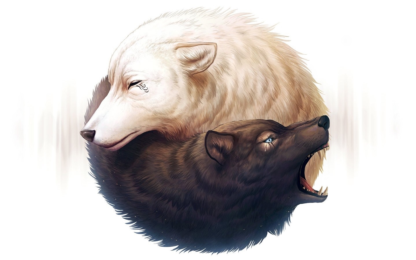 Two wolves in a yin-yang formation HD Wallpaper