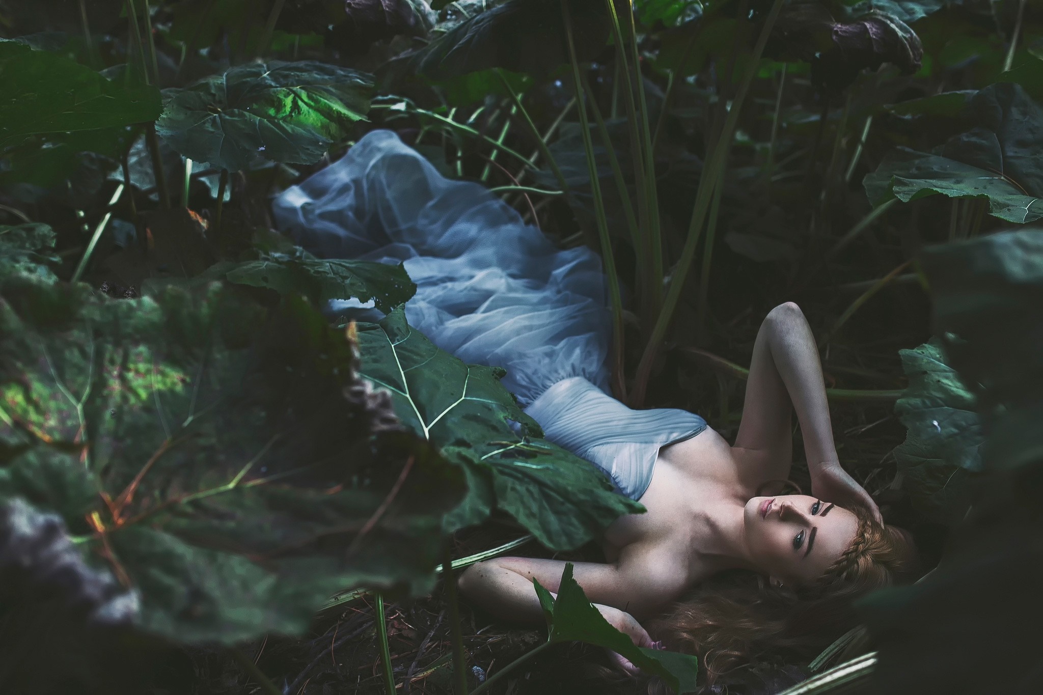 Woman in a blue dress lying in a forest HD Wallpaper