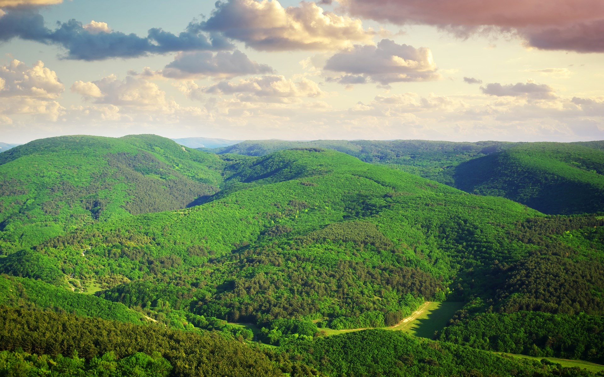 Green rolling hills and forest under a cloudy sky HD Wallpaper
