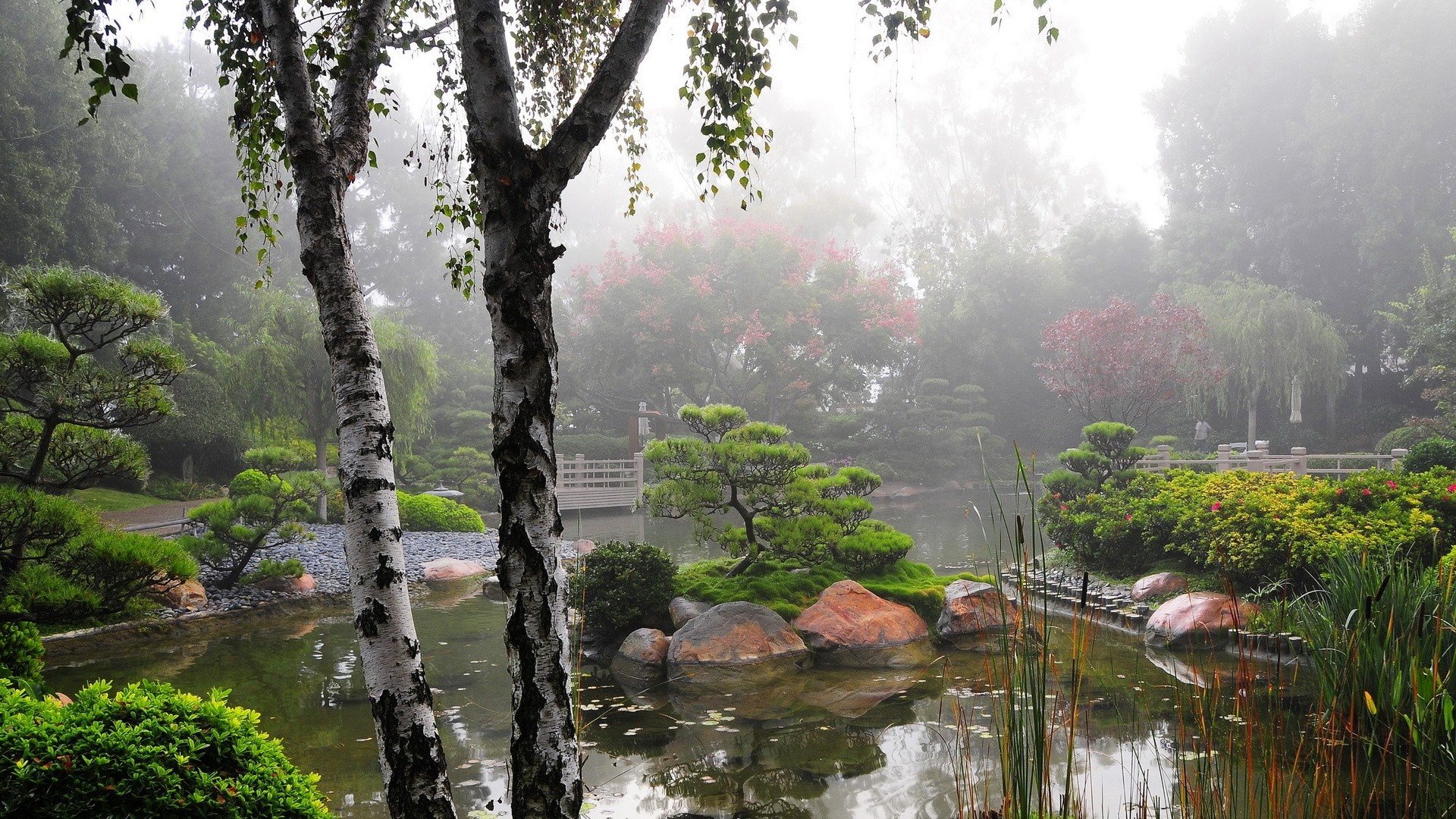 Misty Japanese Garden with Pond and Trees HD Wallpaper