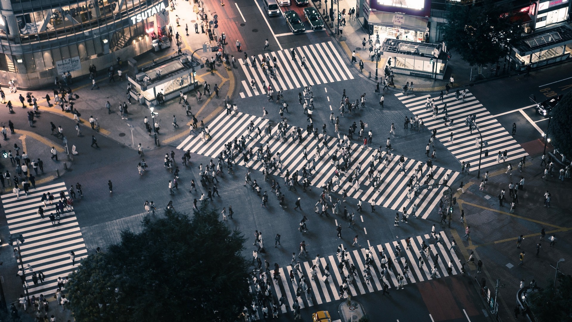Shibuya Crossing in Tokyo at Night HD Wallpaper