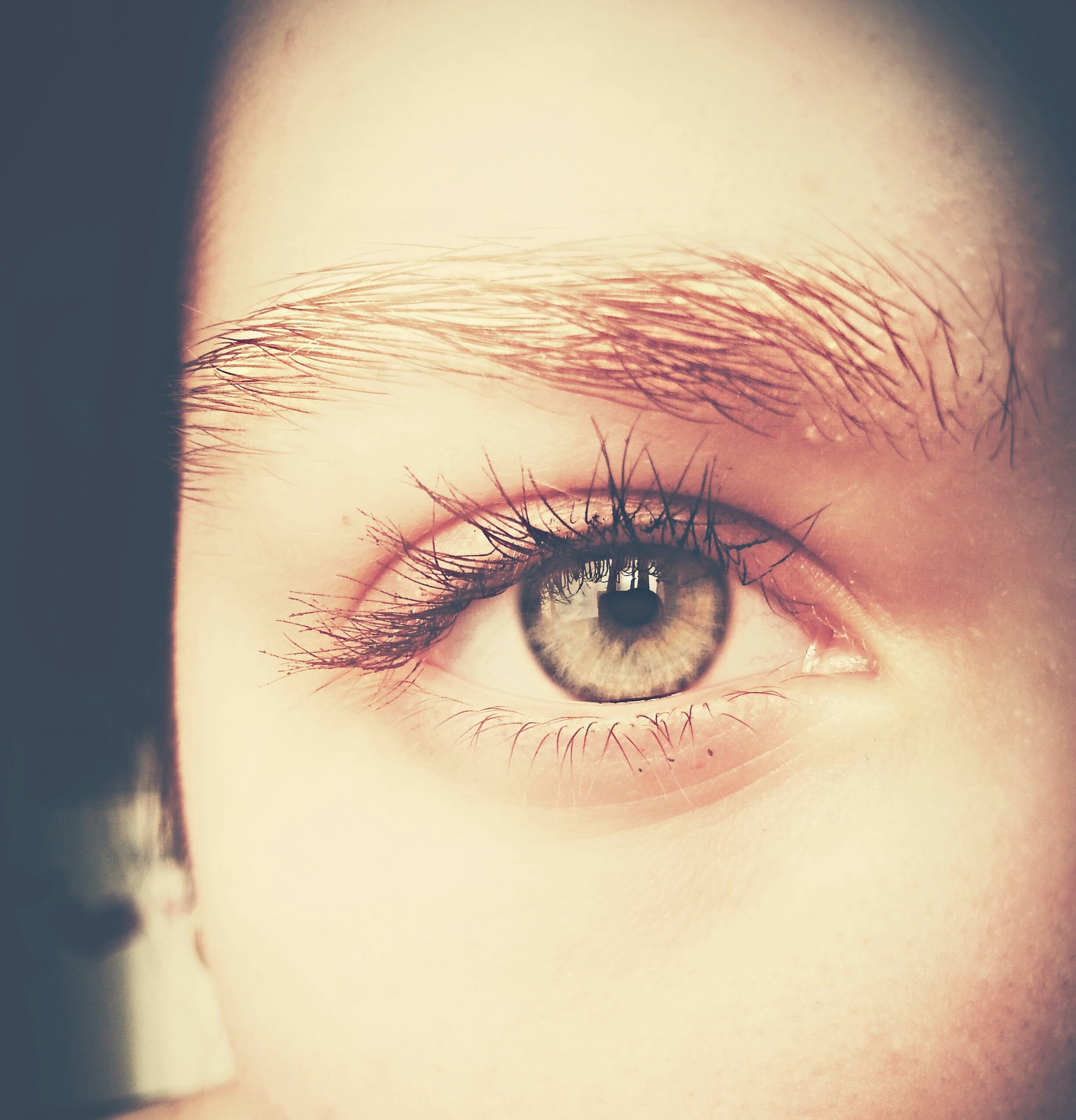 Close up of a person's eye with green iris HD Wallpaper