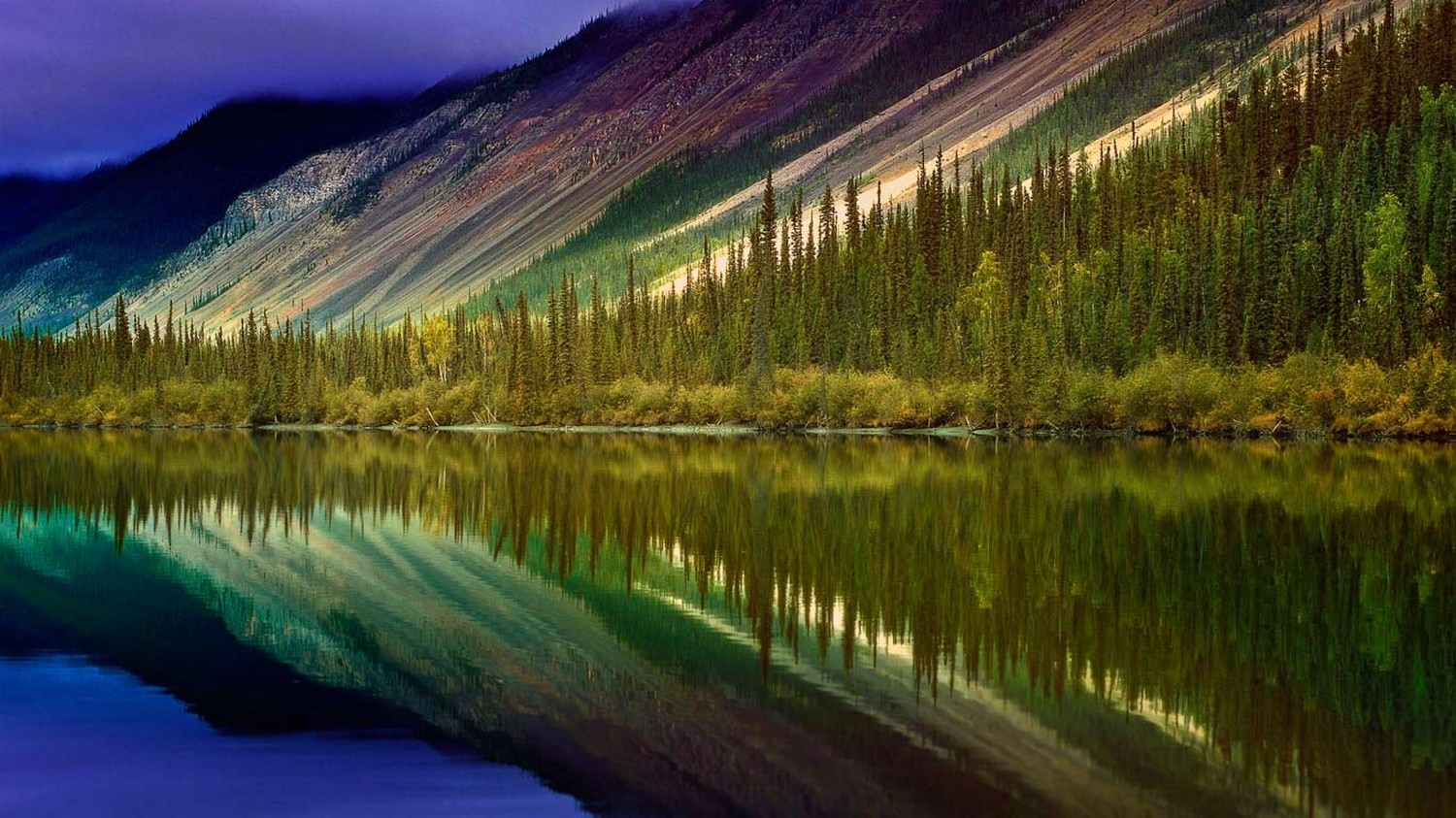 Mountain range reflected in a lake with a forest HD Wallpaper