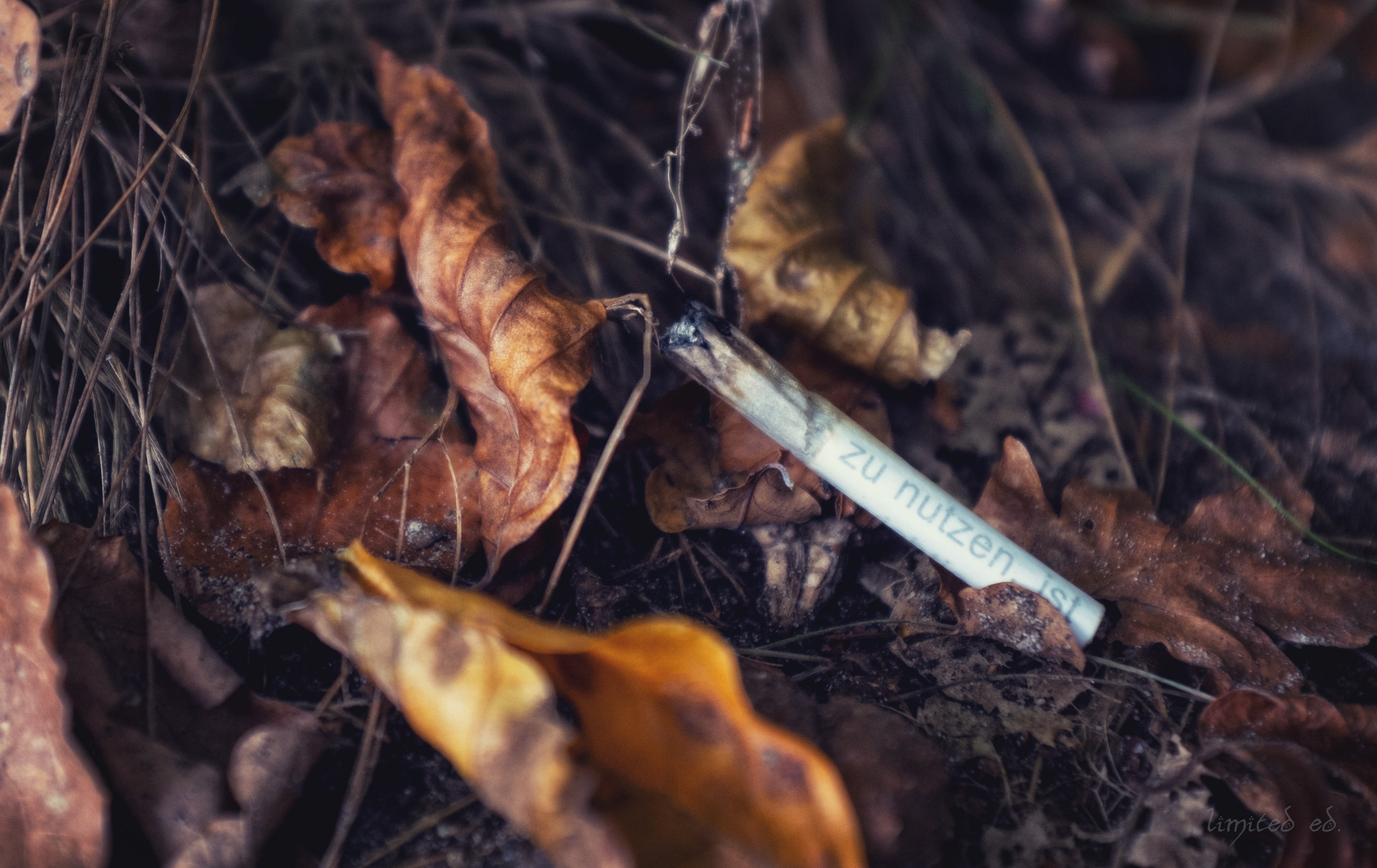 Cigarette butt on the forest floor with autumn leaves HD Wallpaper