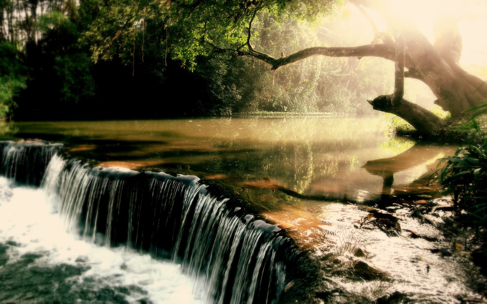 Waterfall in a sunlit forest with reflections HD Wallpaper