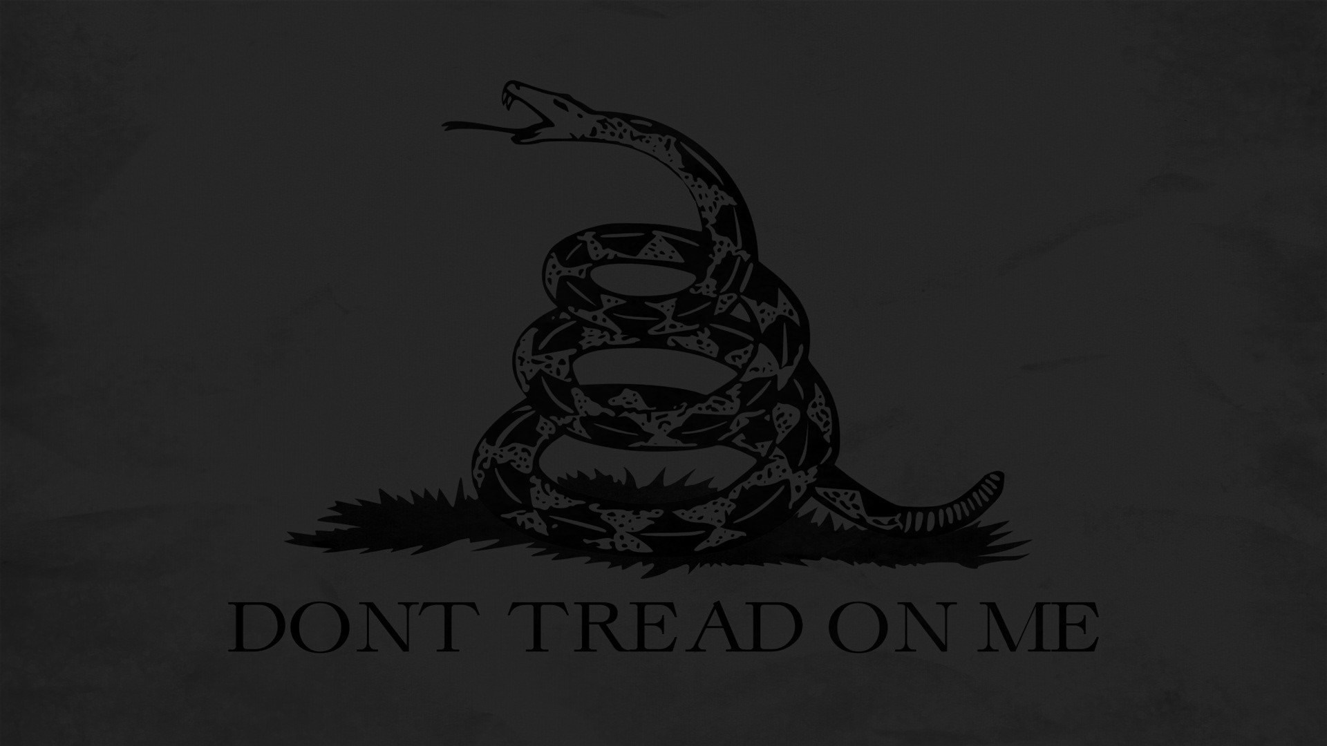 Don't Tread On Me Gadsden Flag Snake HD Wallpaper