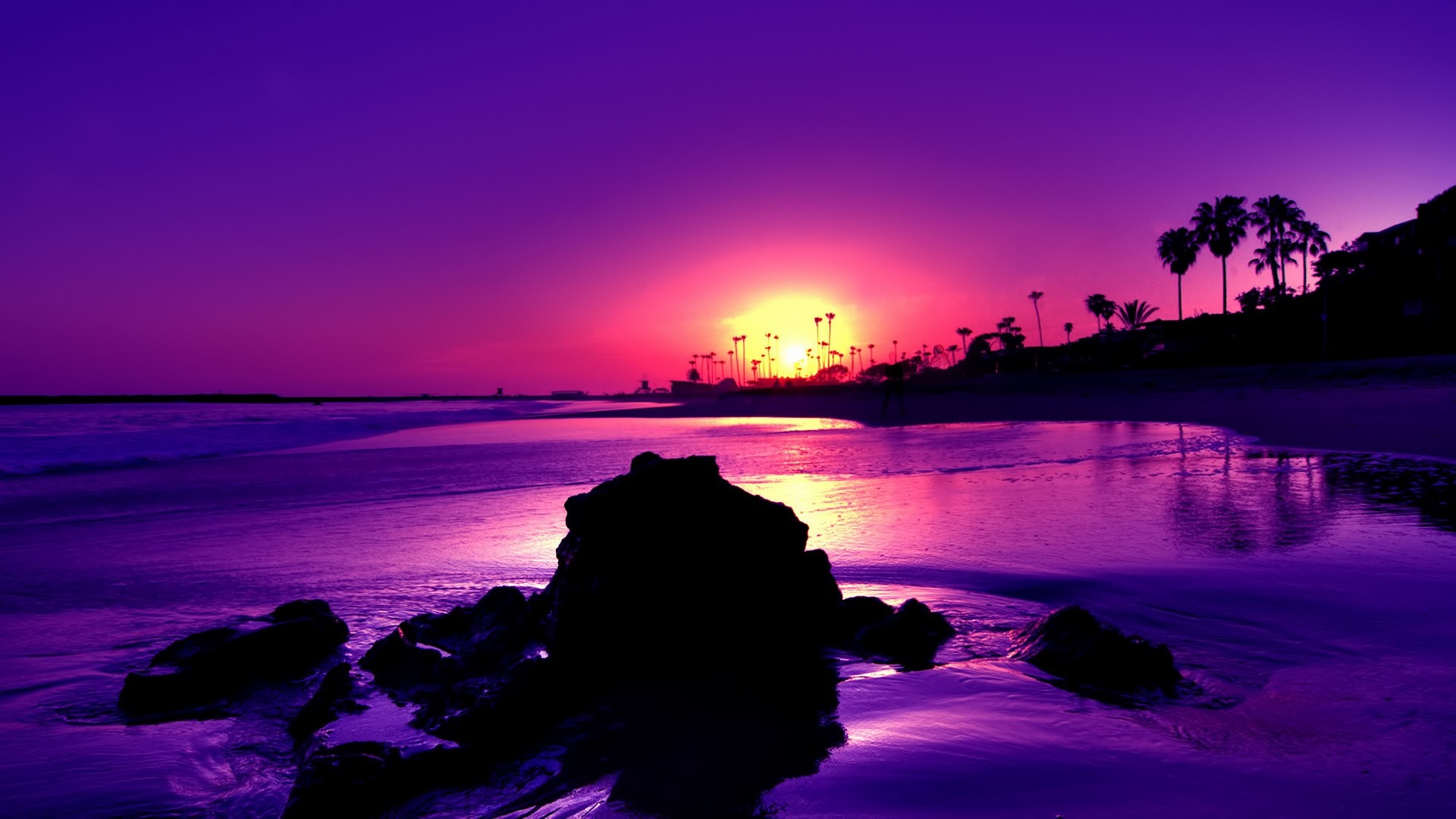 Purple sunset over a beach with palm trees HD Wallpaper
