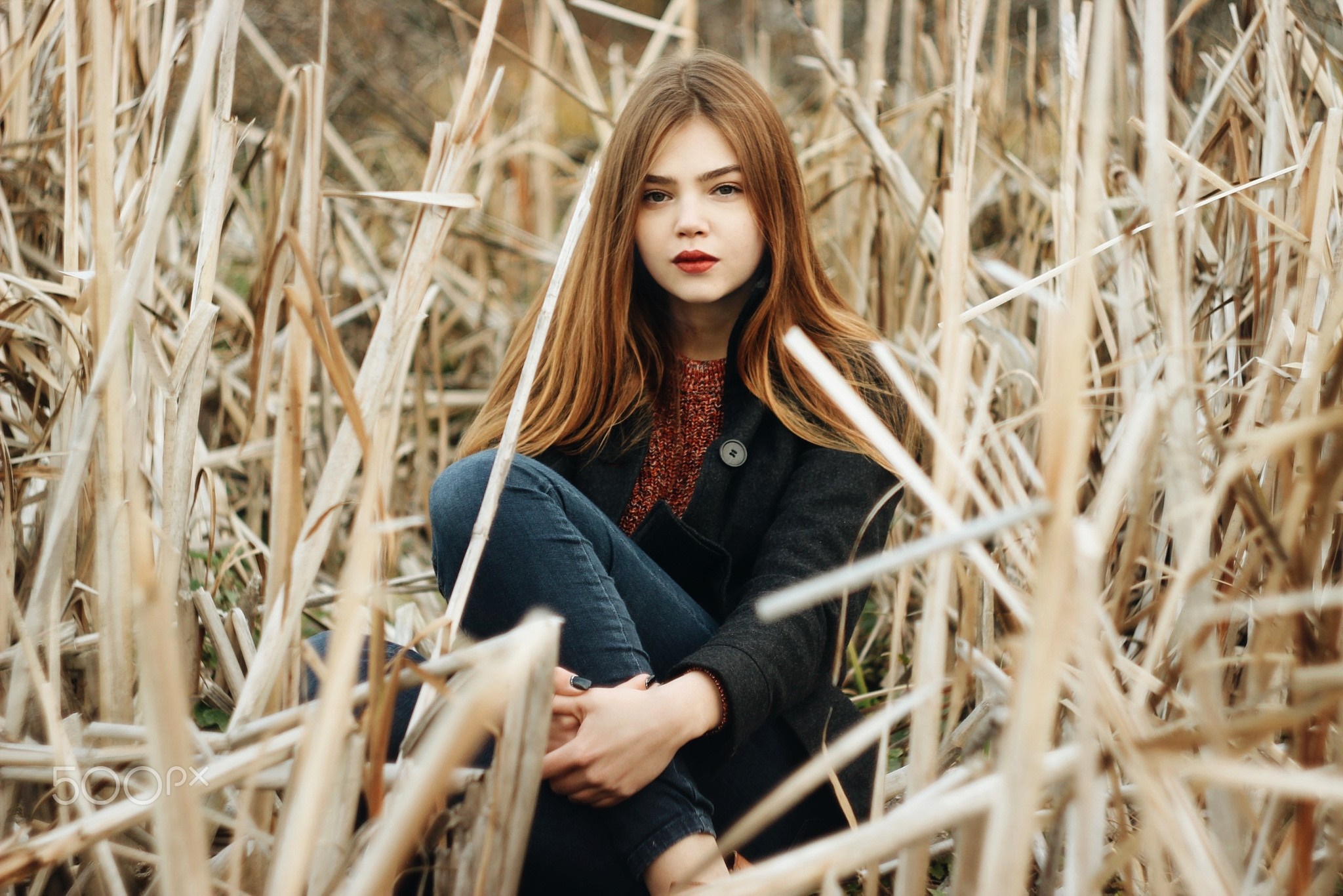 Young woman sitting in dry reeds HD Wallpaper