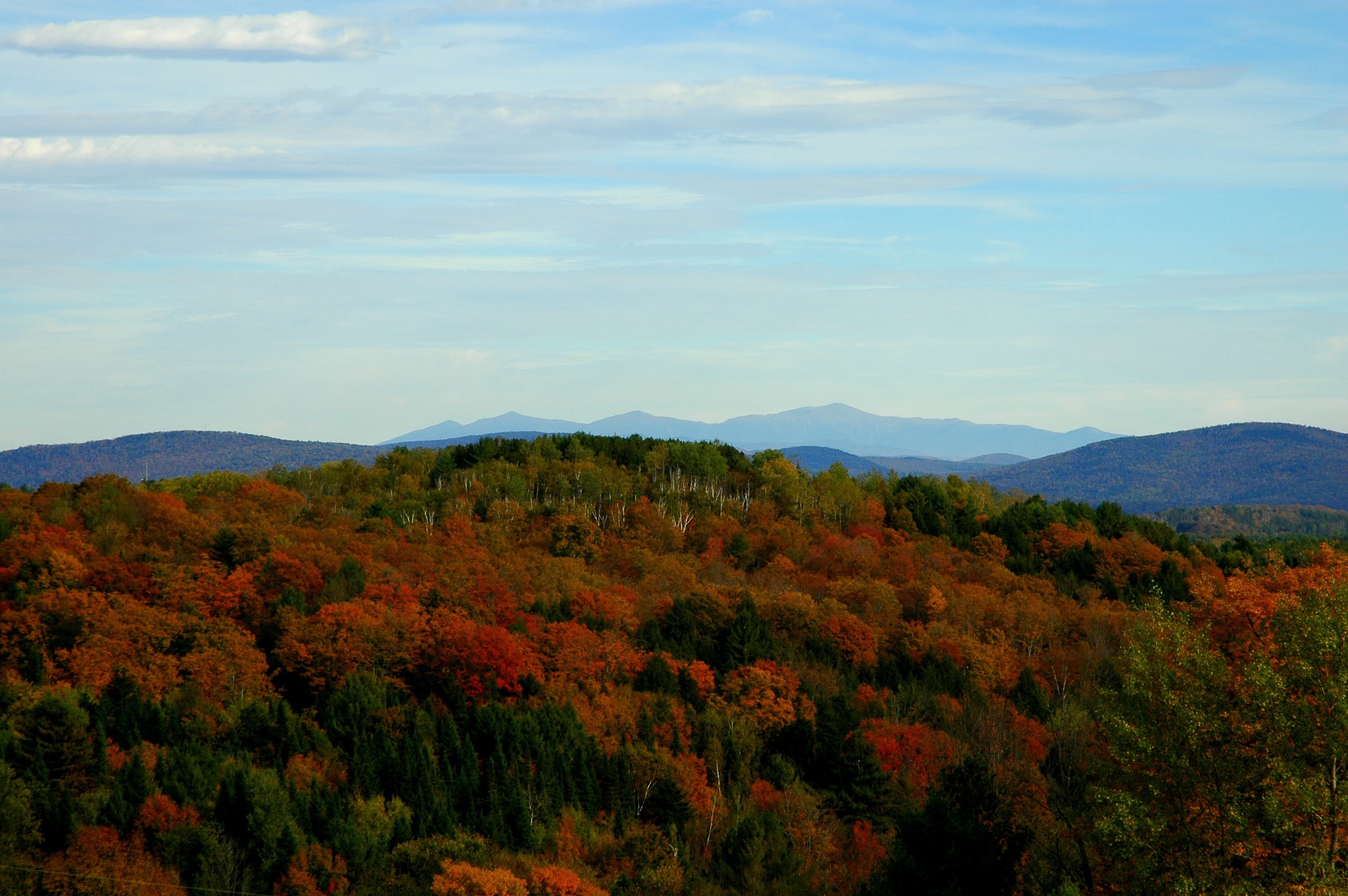 Autumn forest on hills with mountains in the distance HD Wallpaper