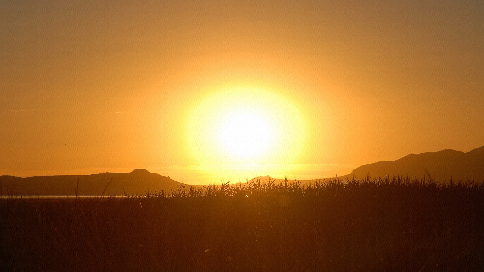 Sunset over a grassy field and mountains HD Wallpaper