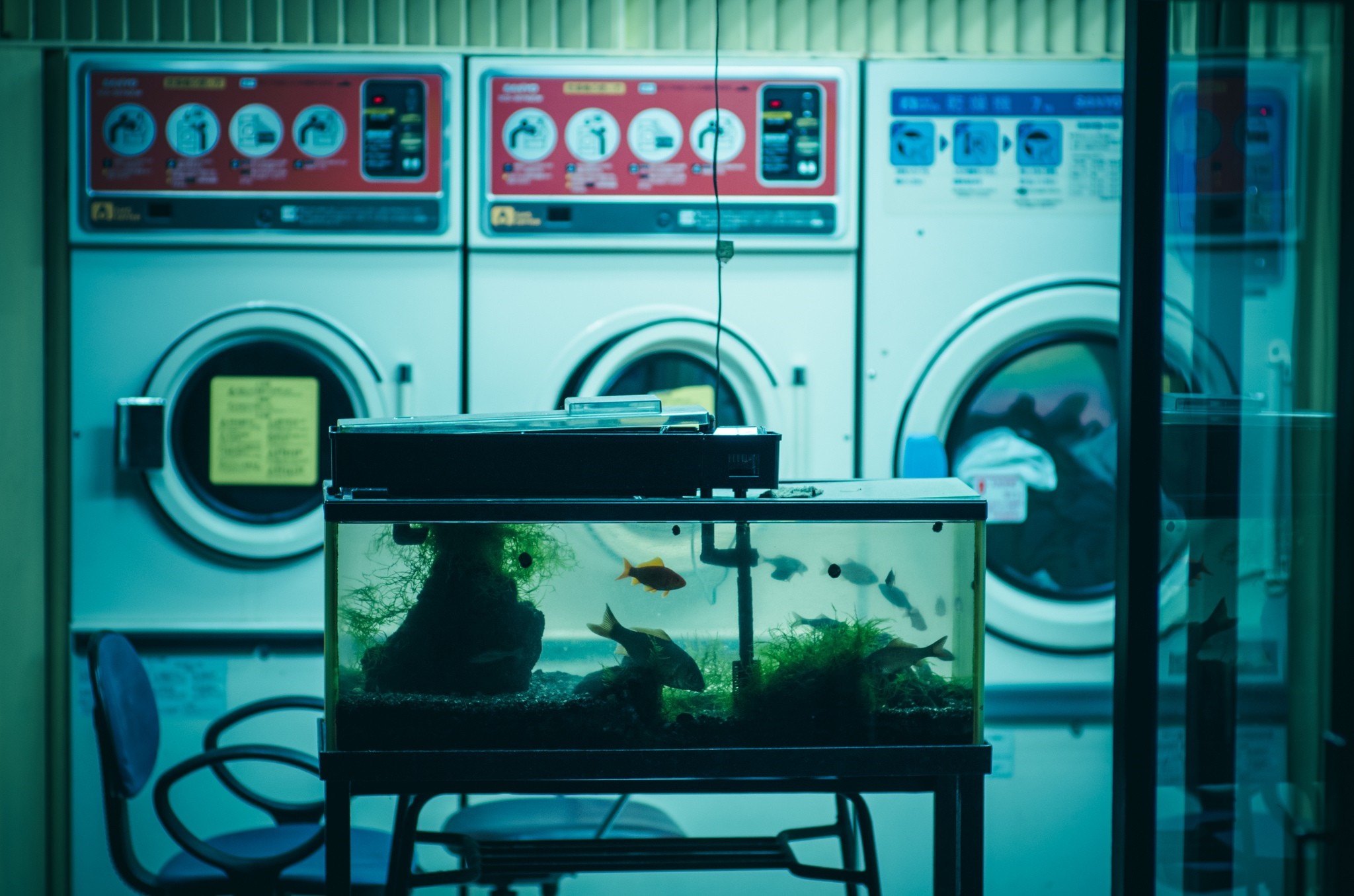 Aquarium in front of washing machines HD Wallpaper