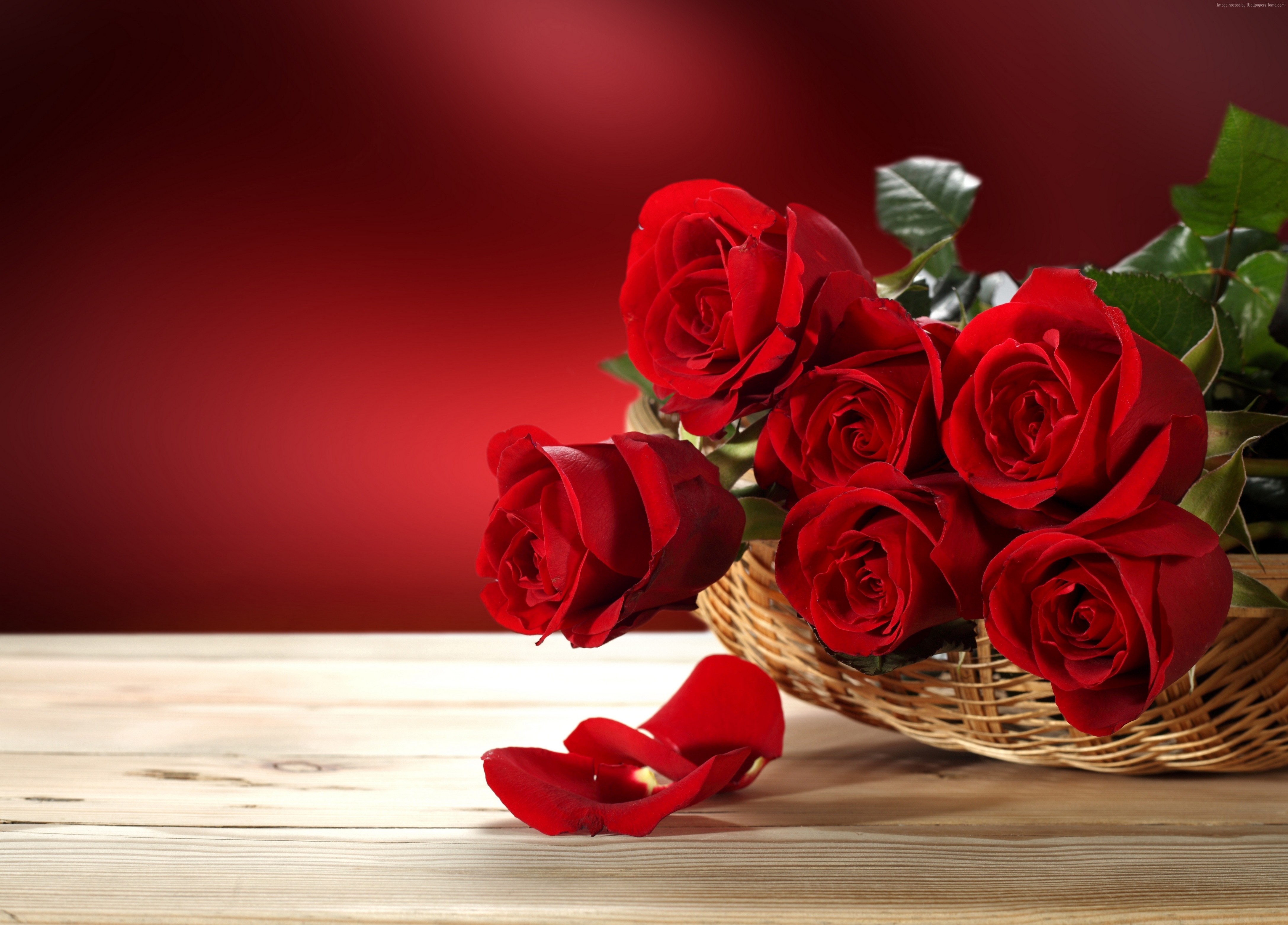 Red Roses in a Basket HD Wallpaper