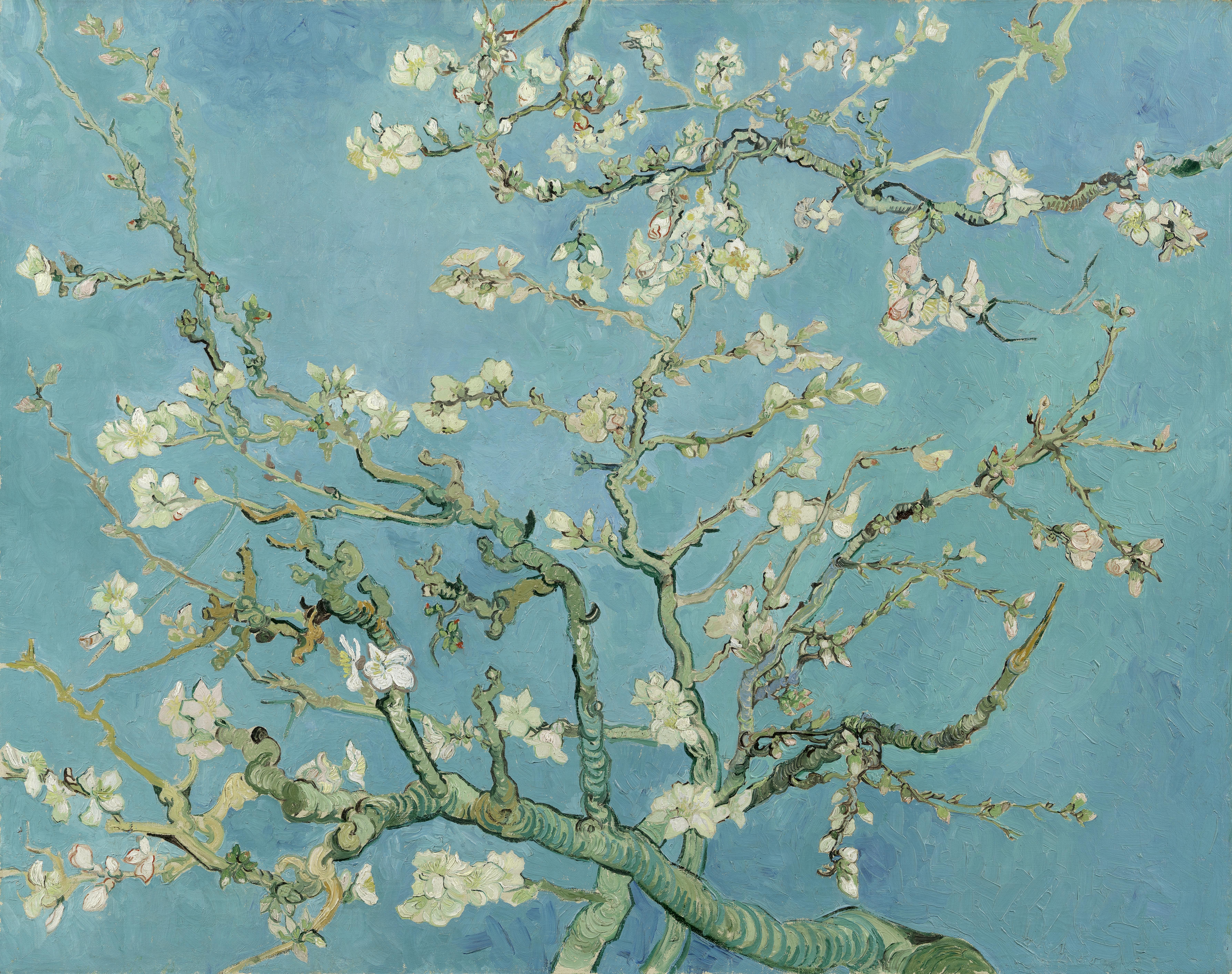 Almond Blossoms by Vincent van Gogh HD Wallpaper