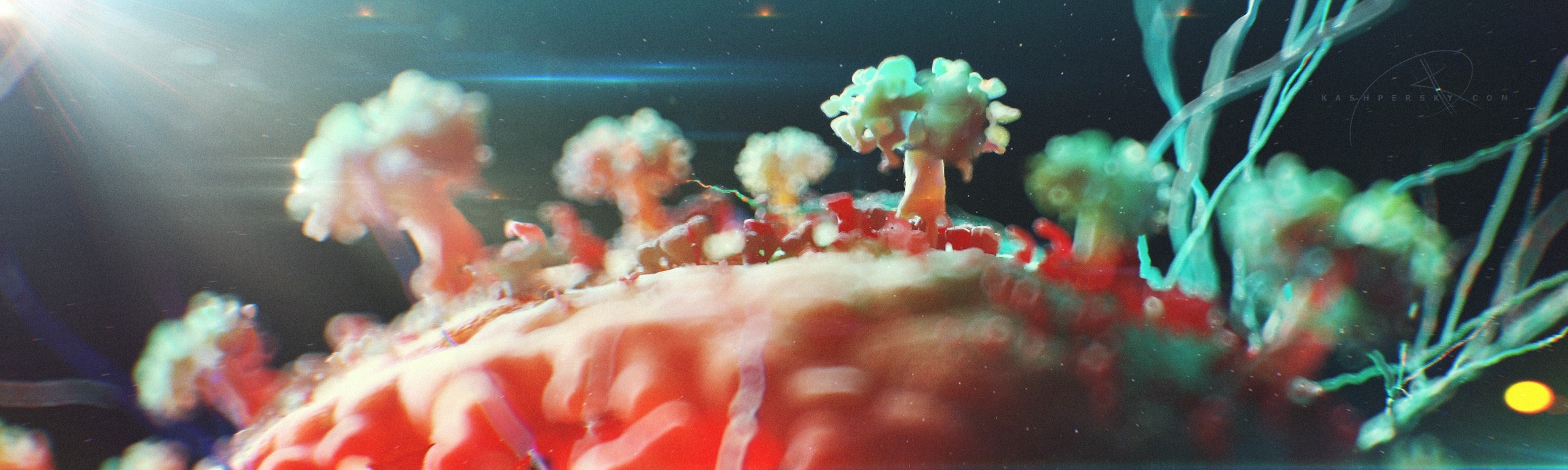Microscopic view of viruses infecting a cell HD Wallpaper