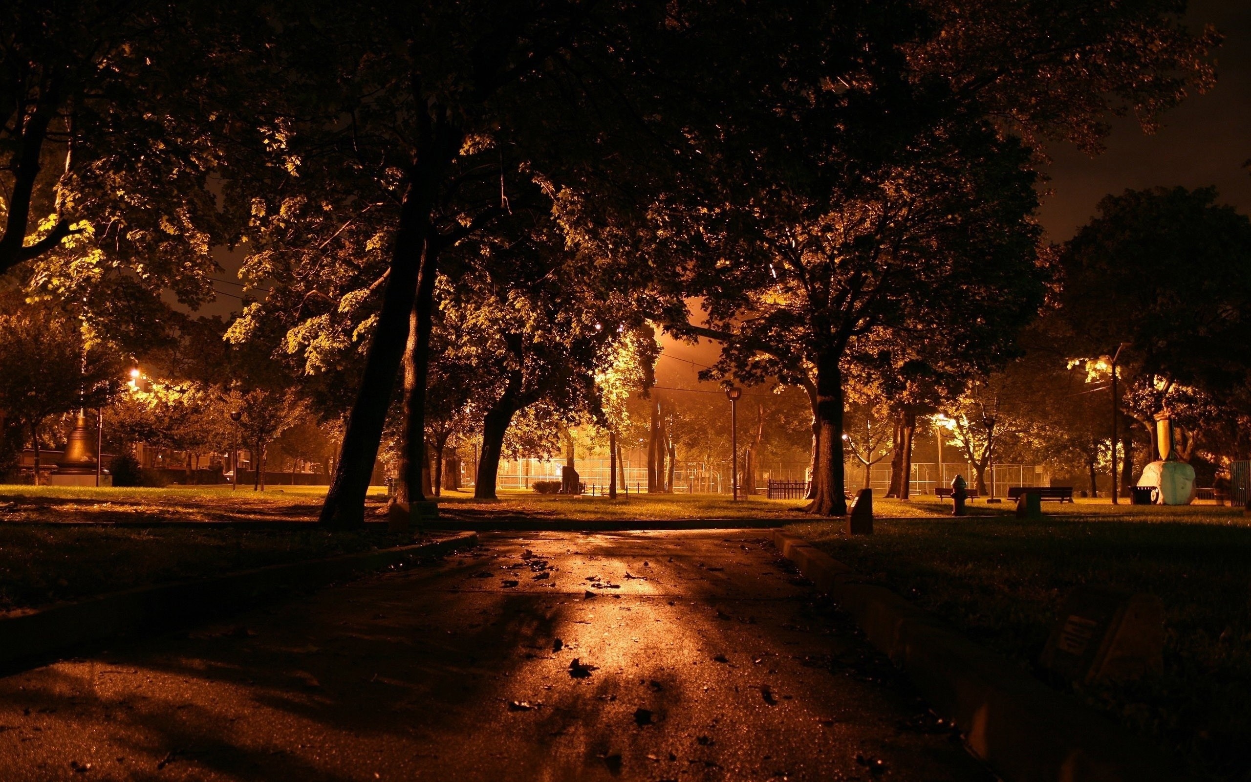Park at night with illuminated trees and path HD Wallpaper
