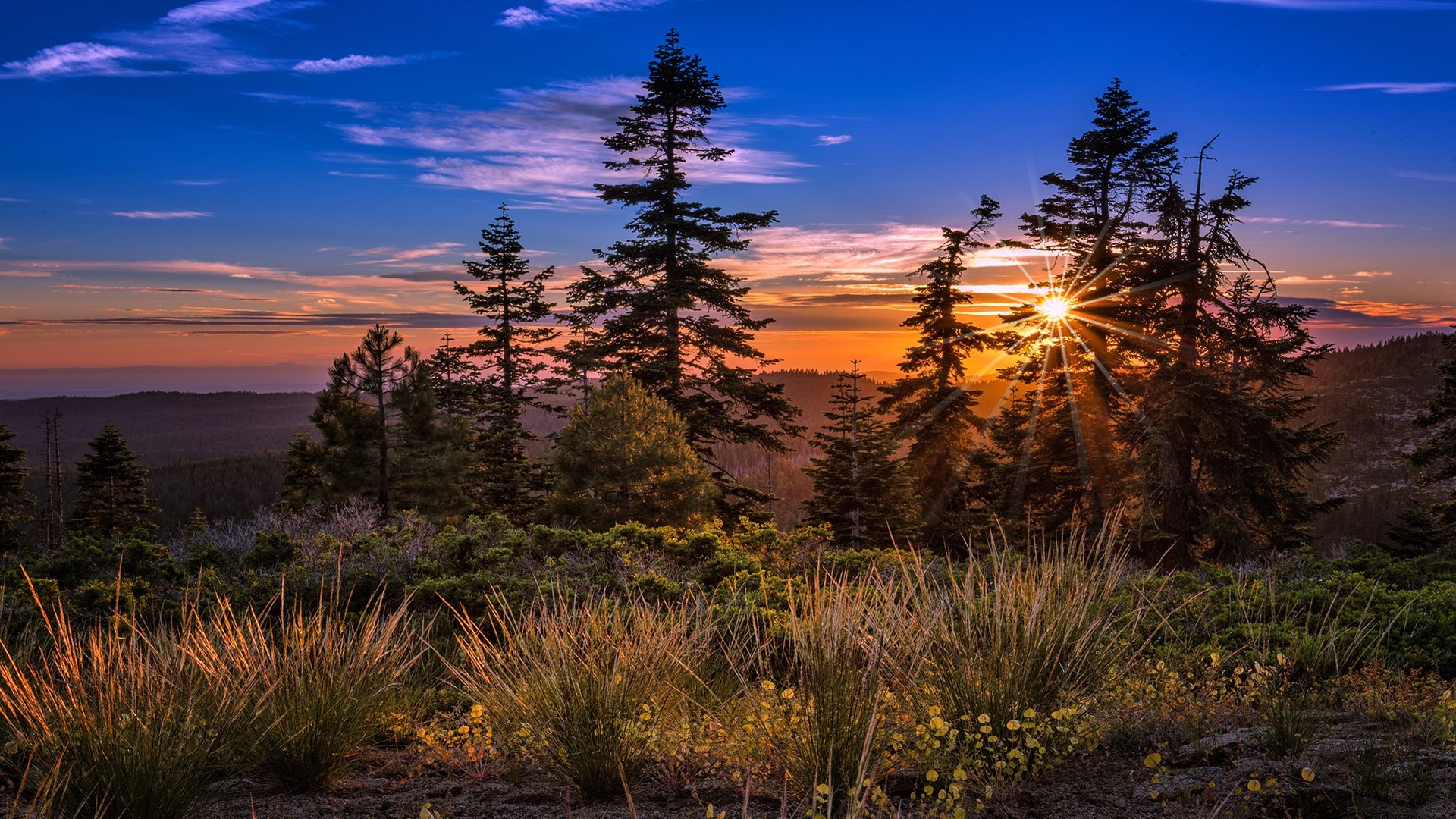 Sunset over a forest landscape with sun rays HD Wallpaper