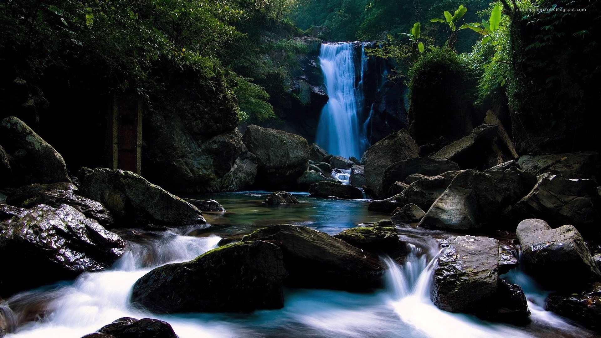 Waterfall in a rocky forest with lush vegetation HD Wallpaper