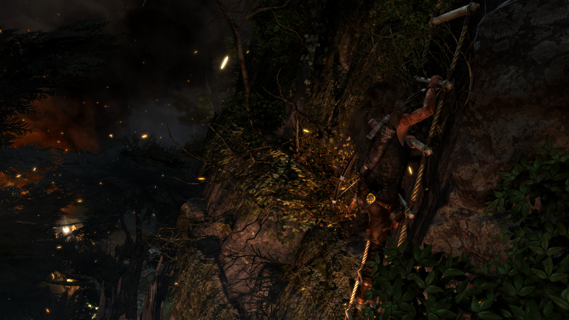 Lara Croft climbing a rope ladder in a jungle HD Wallpaper