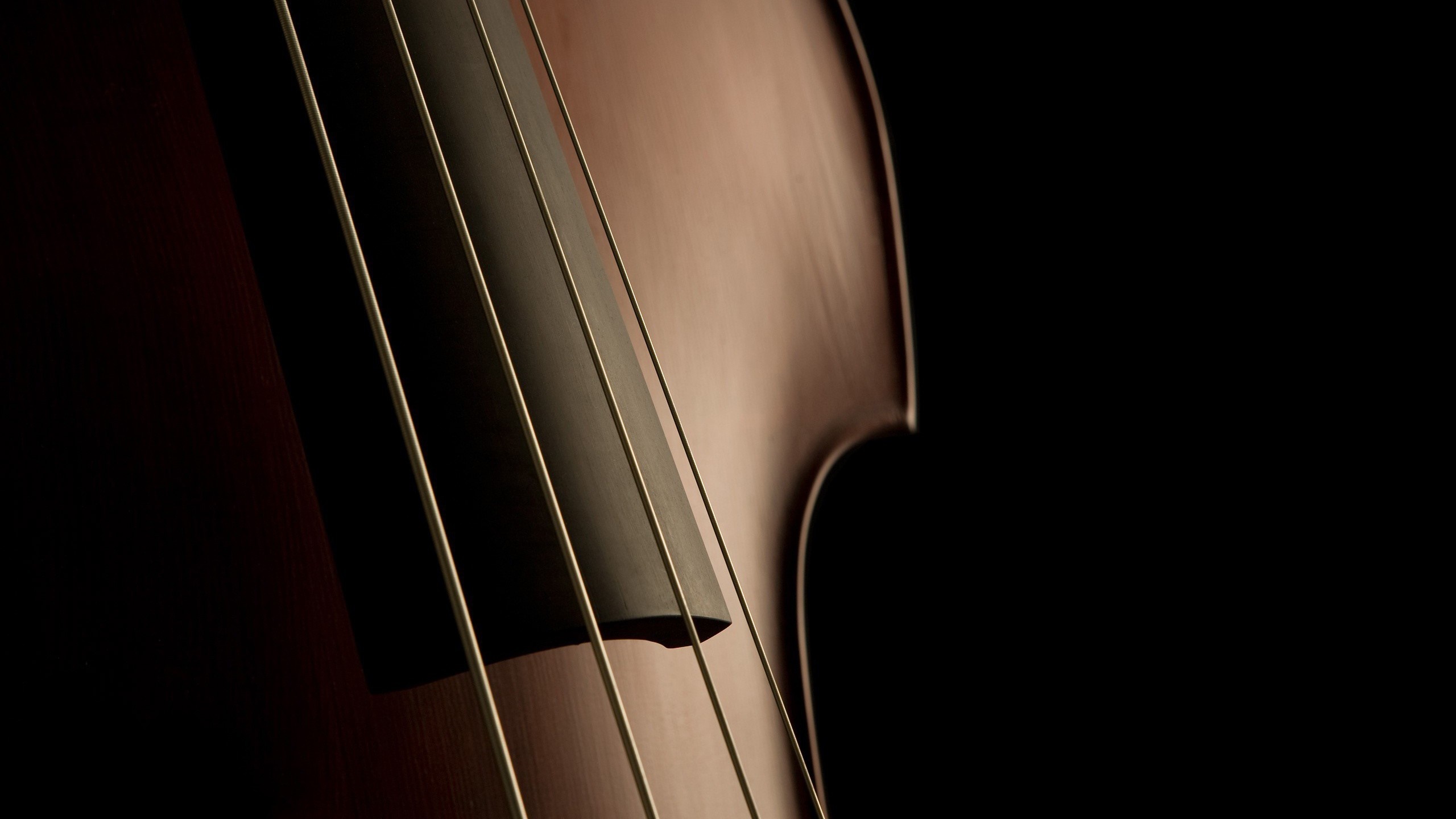 Close-up of String Instrument with Warm Lighting HD Wallpaper