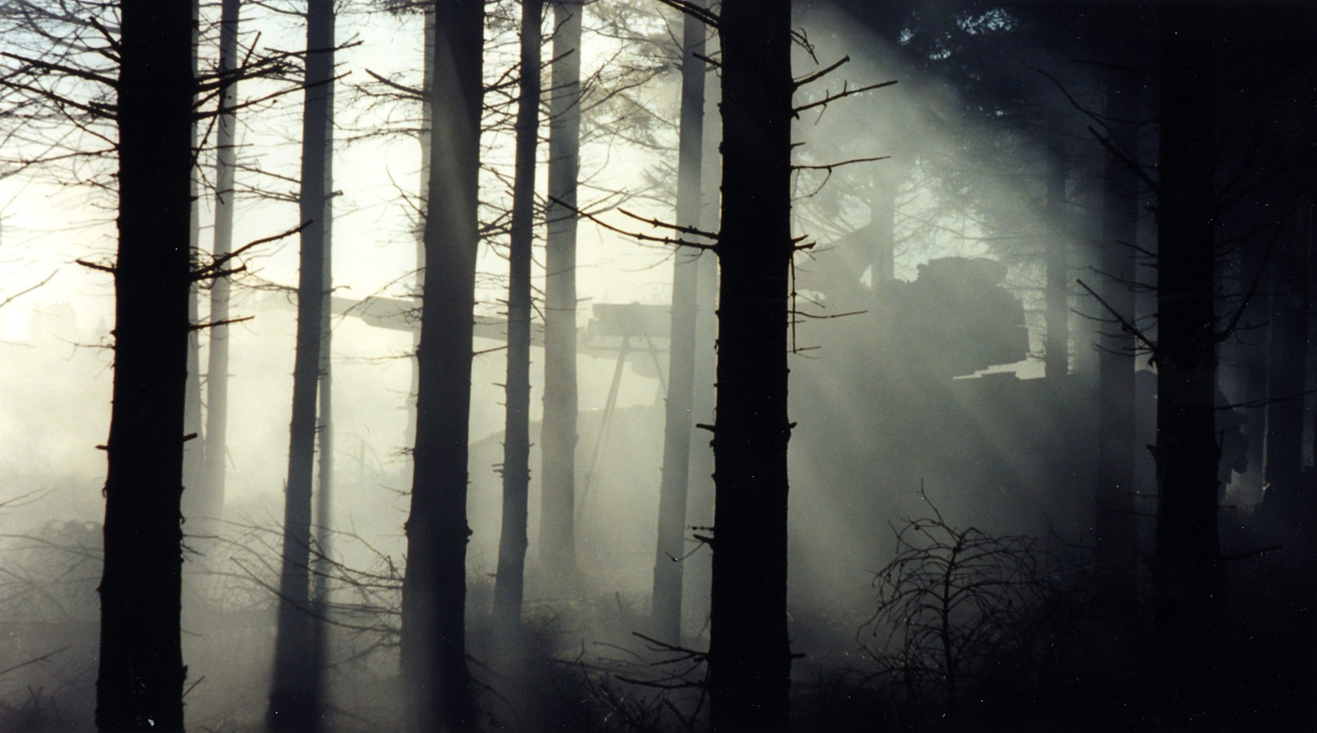 Sunlight filtering through a misty forest with a military vehicle HD Wallpaper