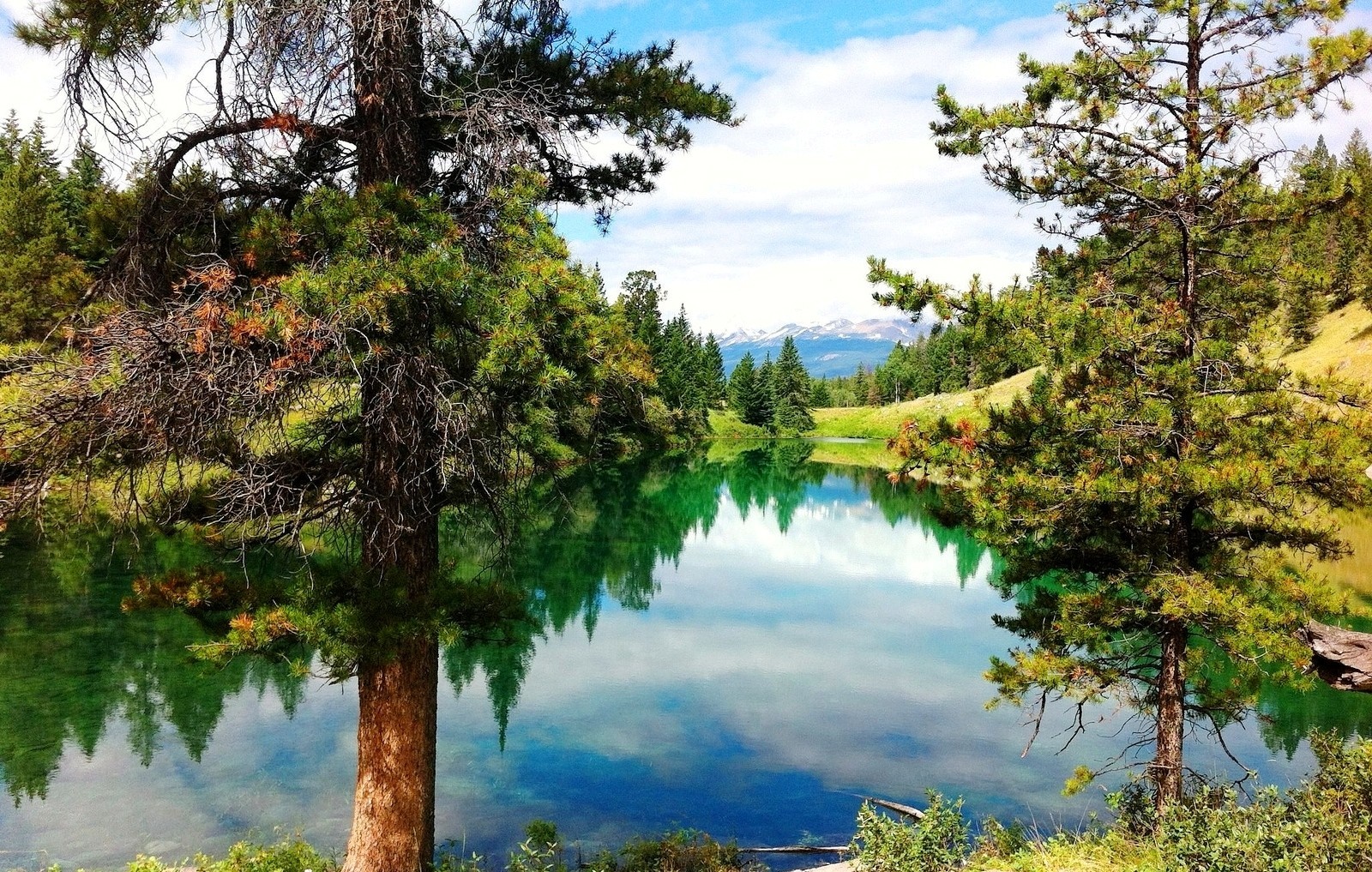 Trees reflecting in a clear lake with mountains in the background HD Wallpaper