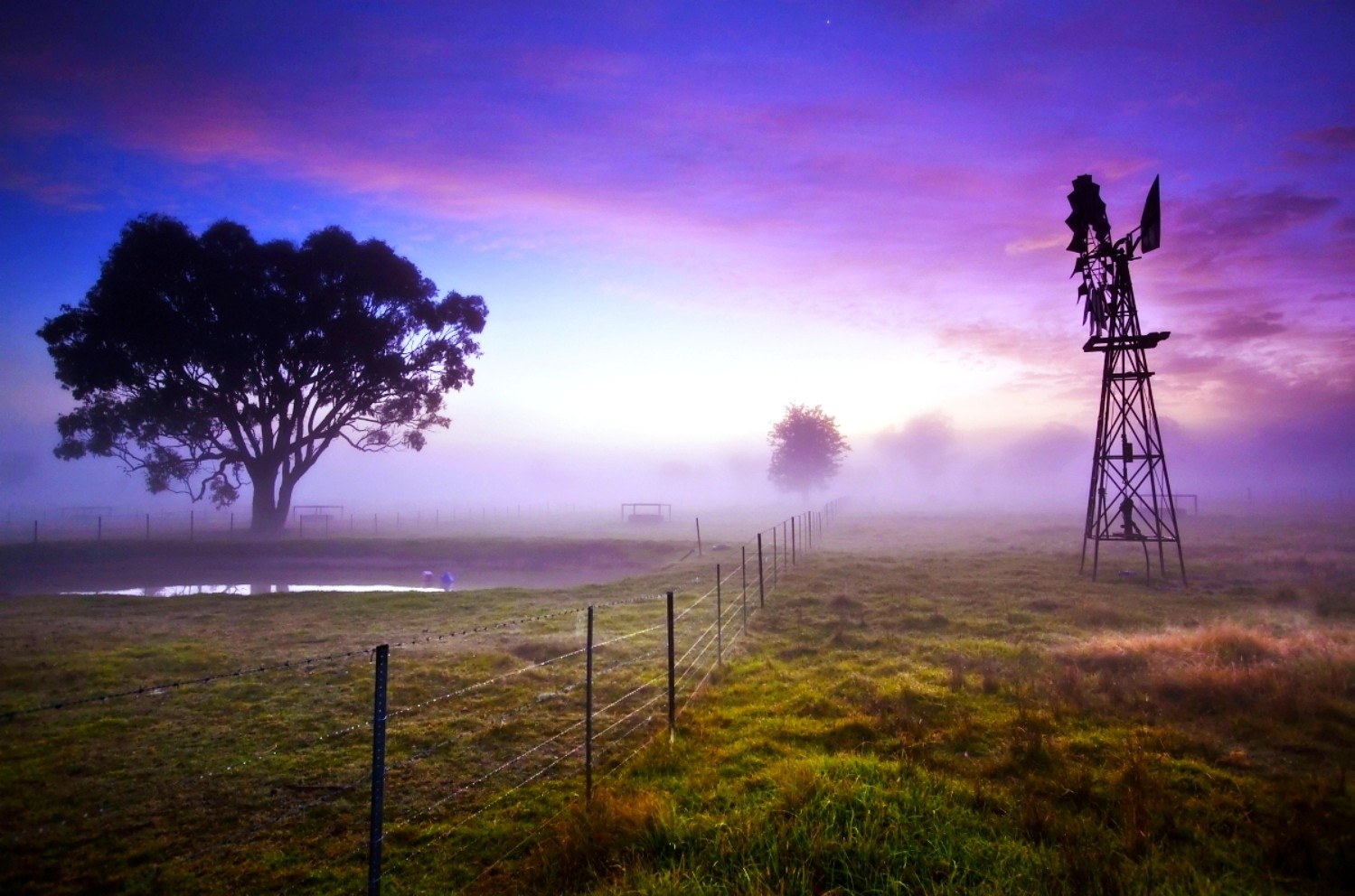 Misty sunrise over a rural field with a windmill and tree HD Wallpaper