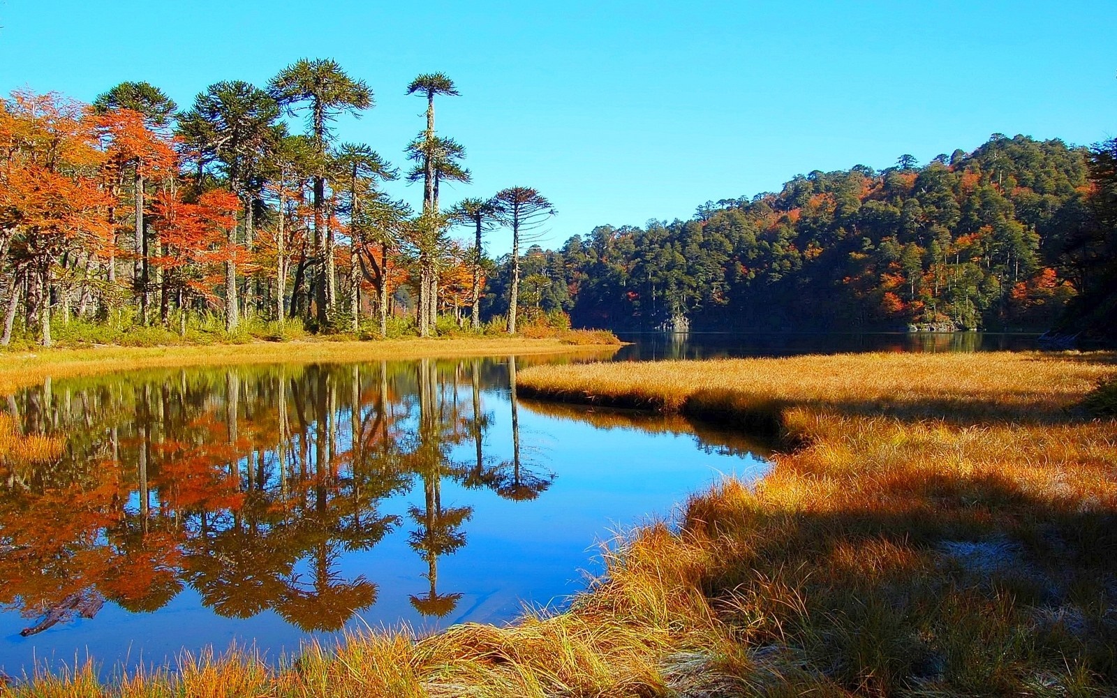 Autumn lake with reflections of trees and hills HD Wallpaper