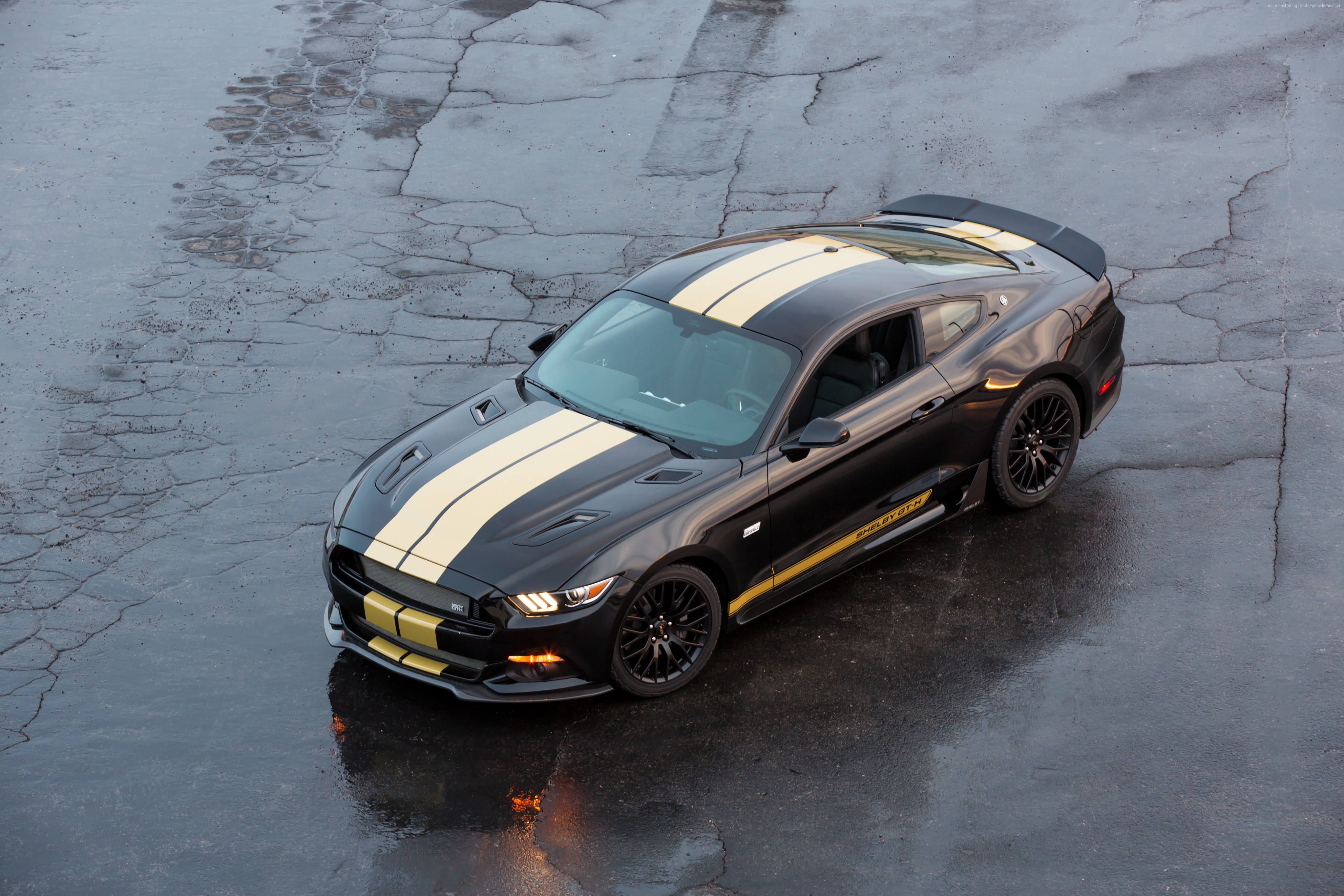 Black Ford Shelby GT-H Coupe with Gold Stripes HD Wallpaper