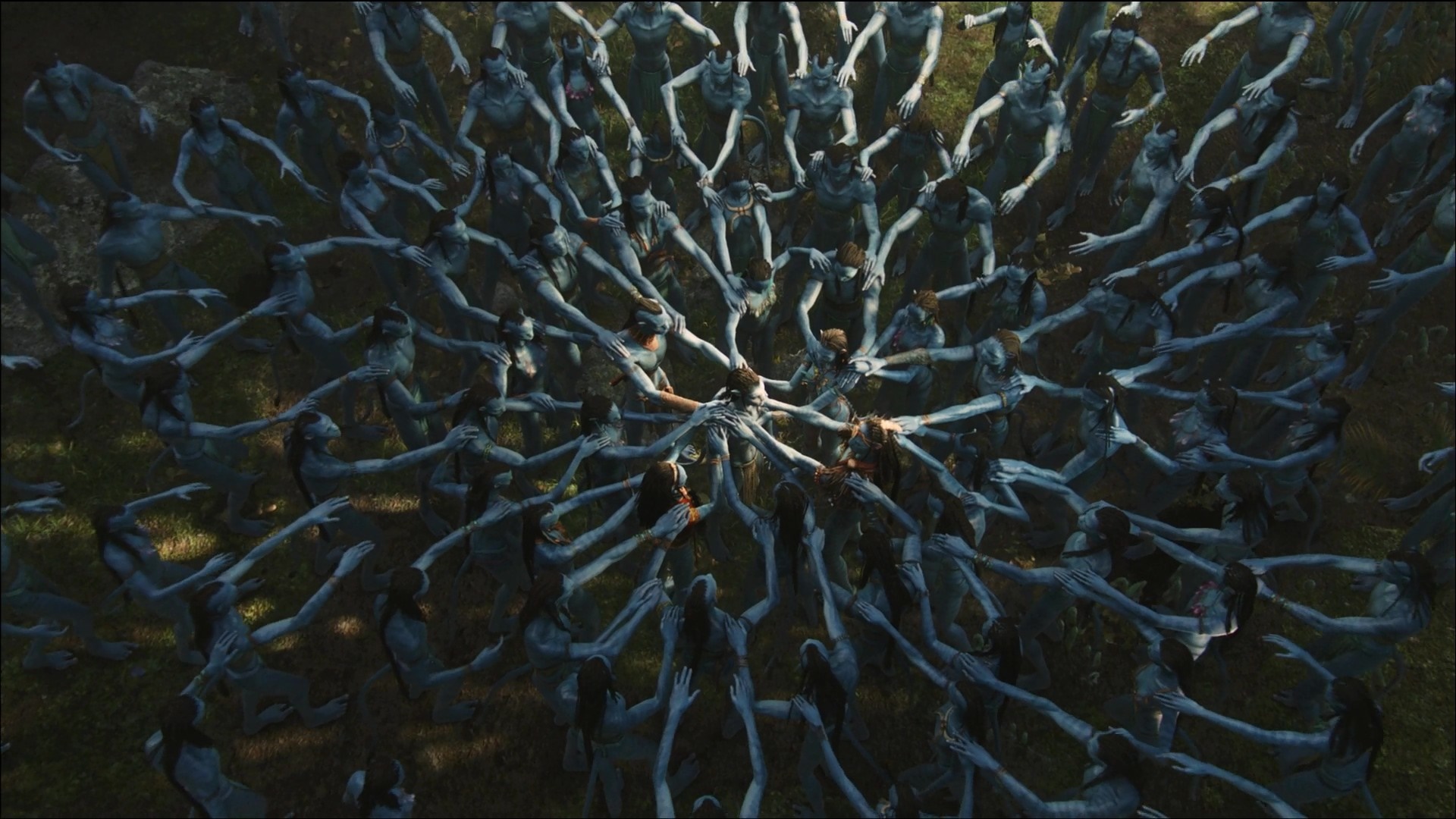 Na'vi people holding hands in a circle HD Wallpaper
