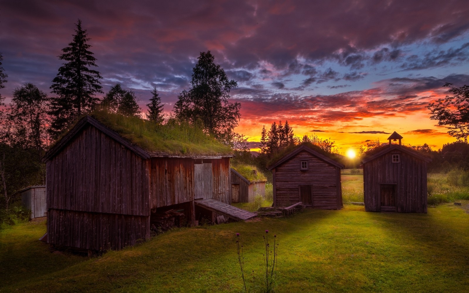 Wooden cabins with grass roofs at sunset HD Wallpaper