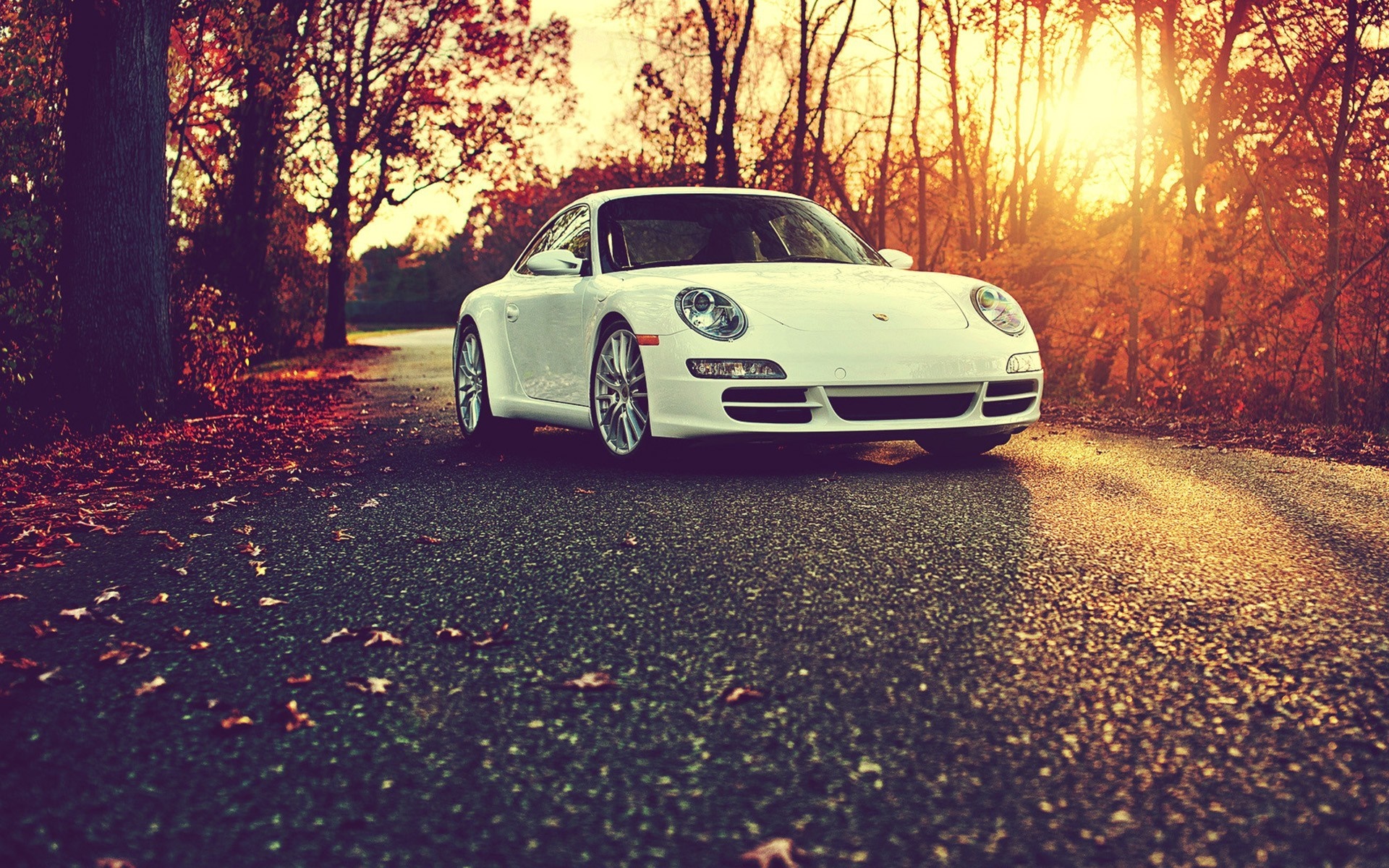 White Porsche sports car on a road during sunset HD Wallpaper