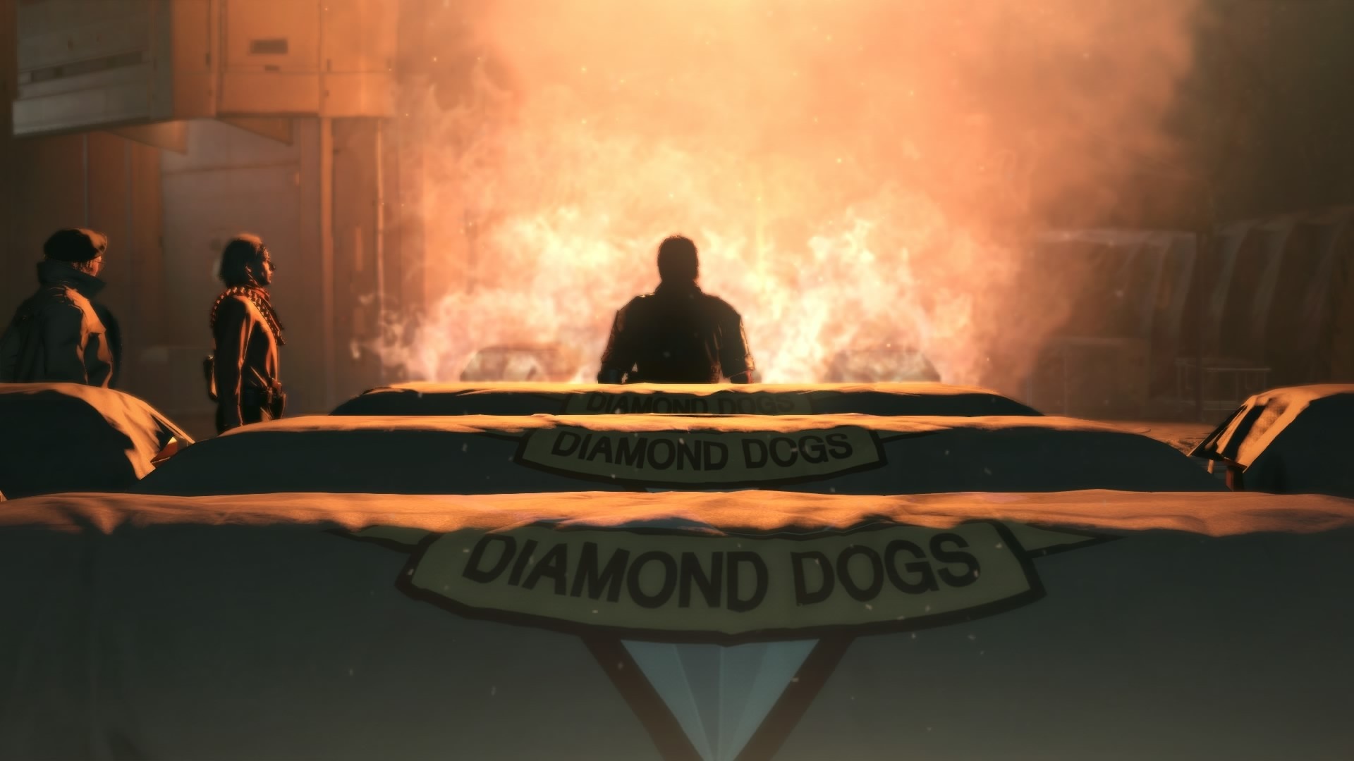 Diamond Dogs members in front of a fire HD Wallpaper