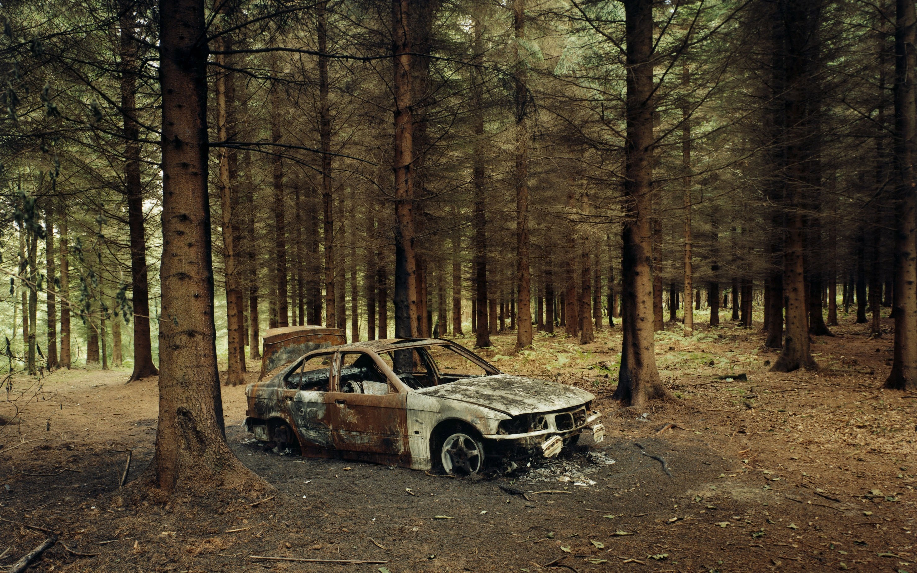 Burned BMW car in a dense forest HD Wallpaper